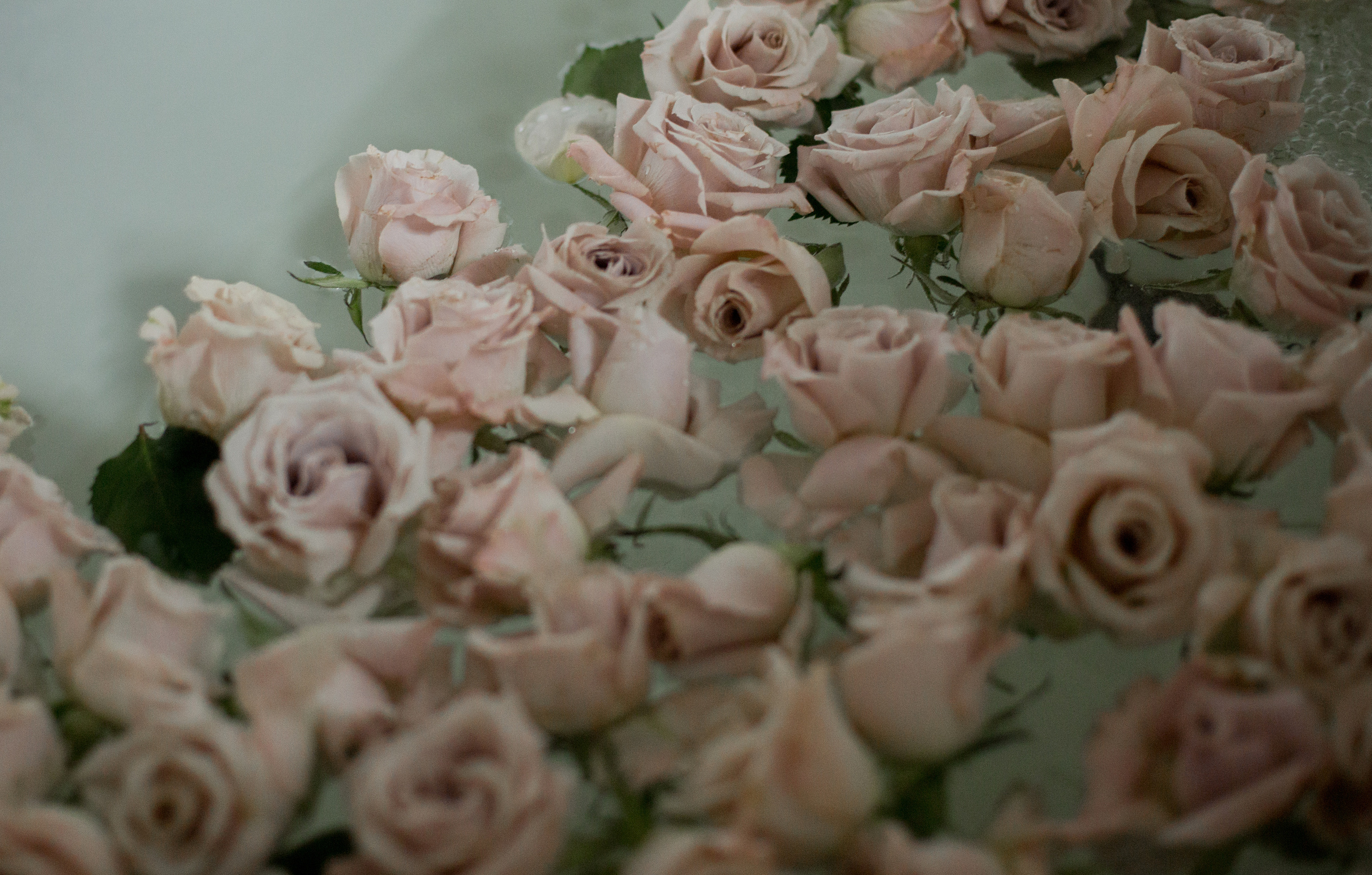 Катя и Никита. Фотограф Анна Котова