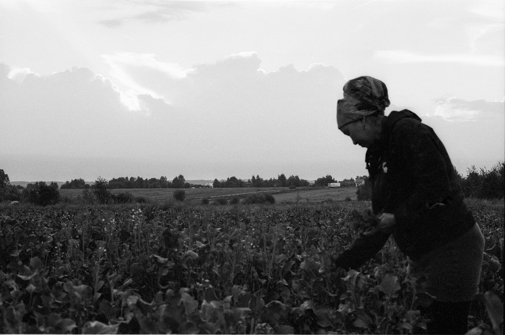 SuperFoodFarm. The history of the farm. Another person Pavel Potseluev. A photographer in 2025