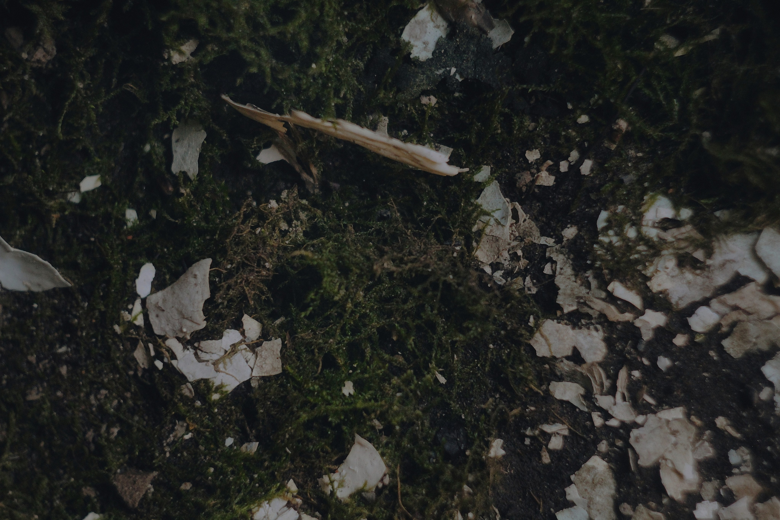 Исчезающие. Фотограф в Самаре Варвара Макарова