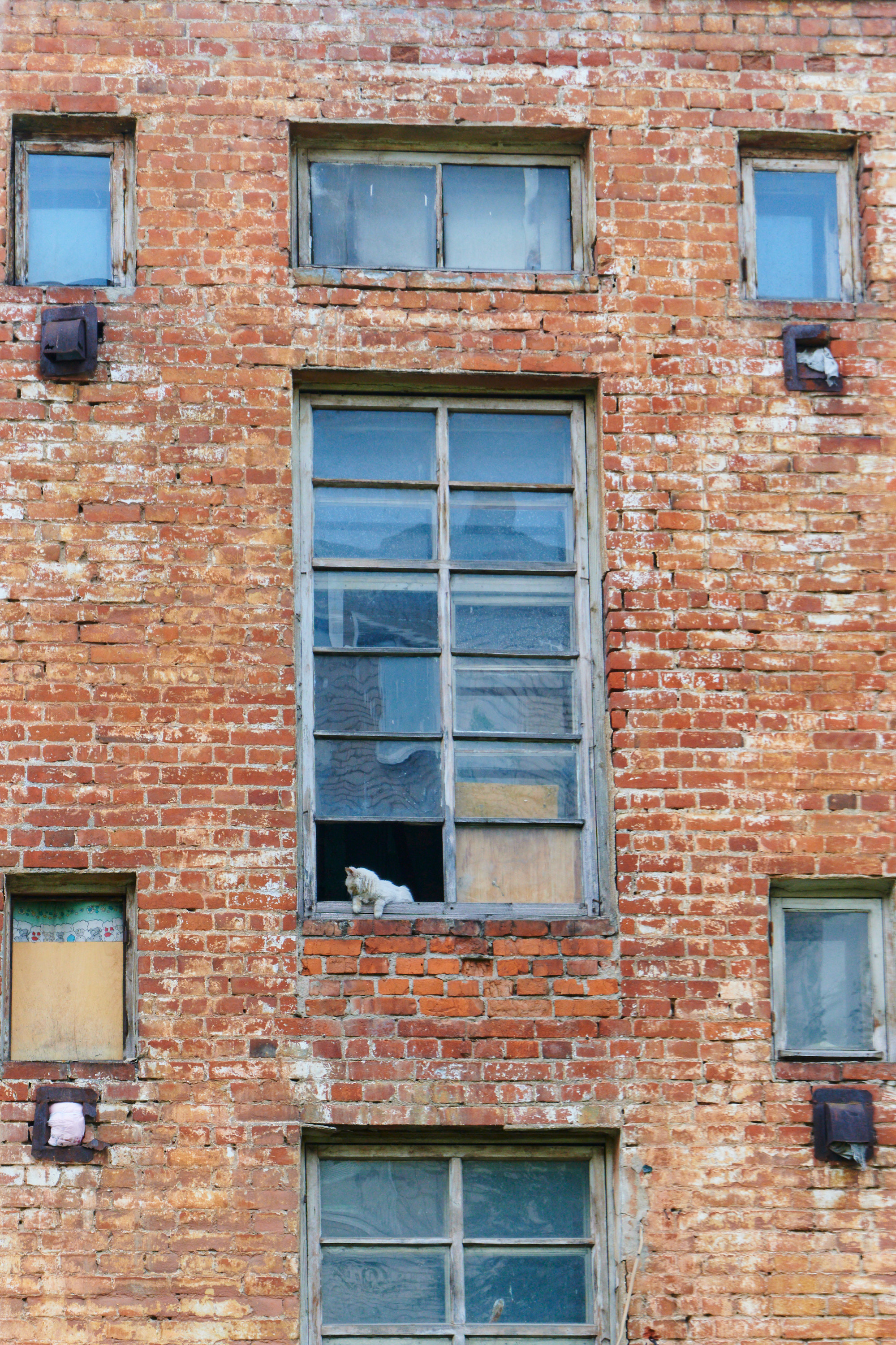Город фурманов фотографии. Фотограф в Иваново: Каталожная съемка одежды и постельного белья, Wildberries