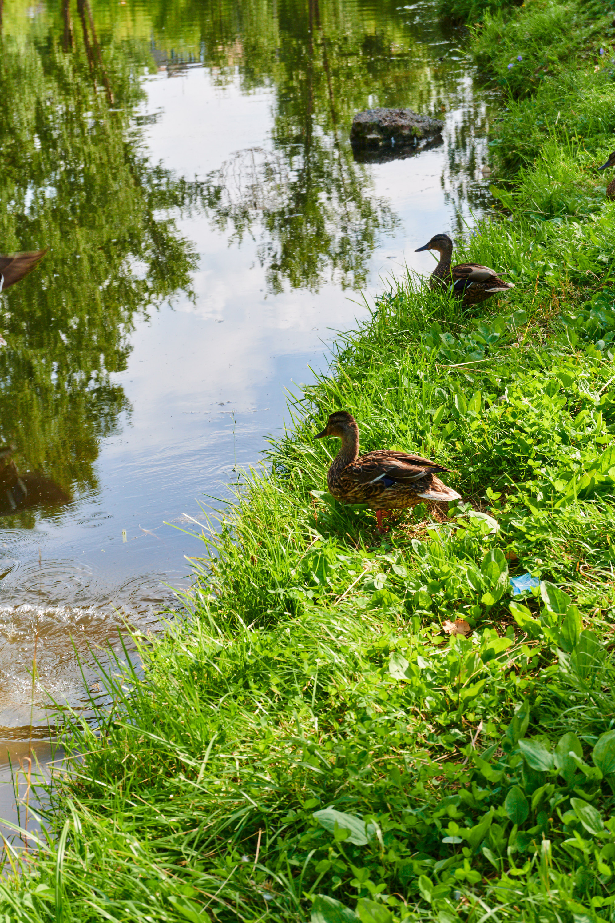 Город фурманов фотографии. Фотограф в Иваново: Каталожная съемка одежды и постельного белья, Wildberries