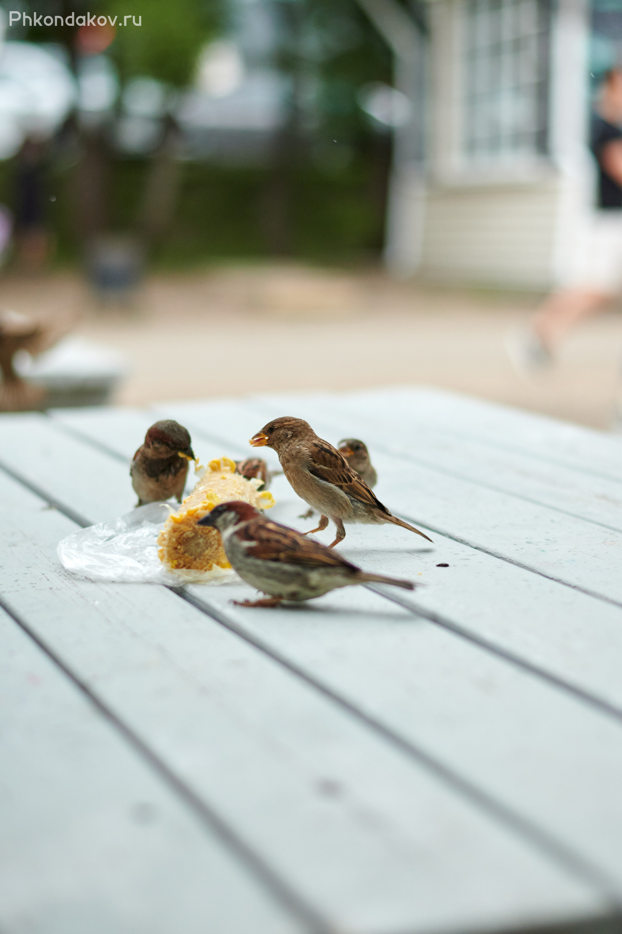 Фестиваль прожектор в иваново 8 июля 2023. Фотограф в Иваново: Каталожная съемка одежды и постельного белья, Wildberries