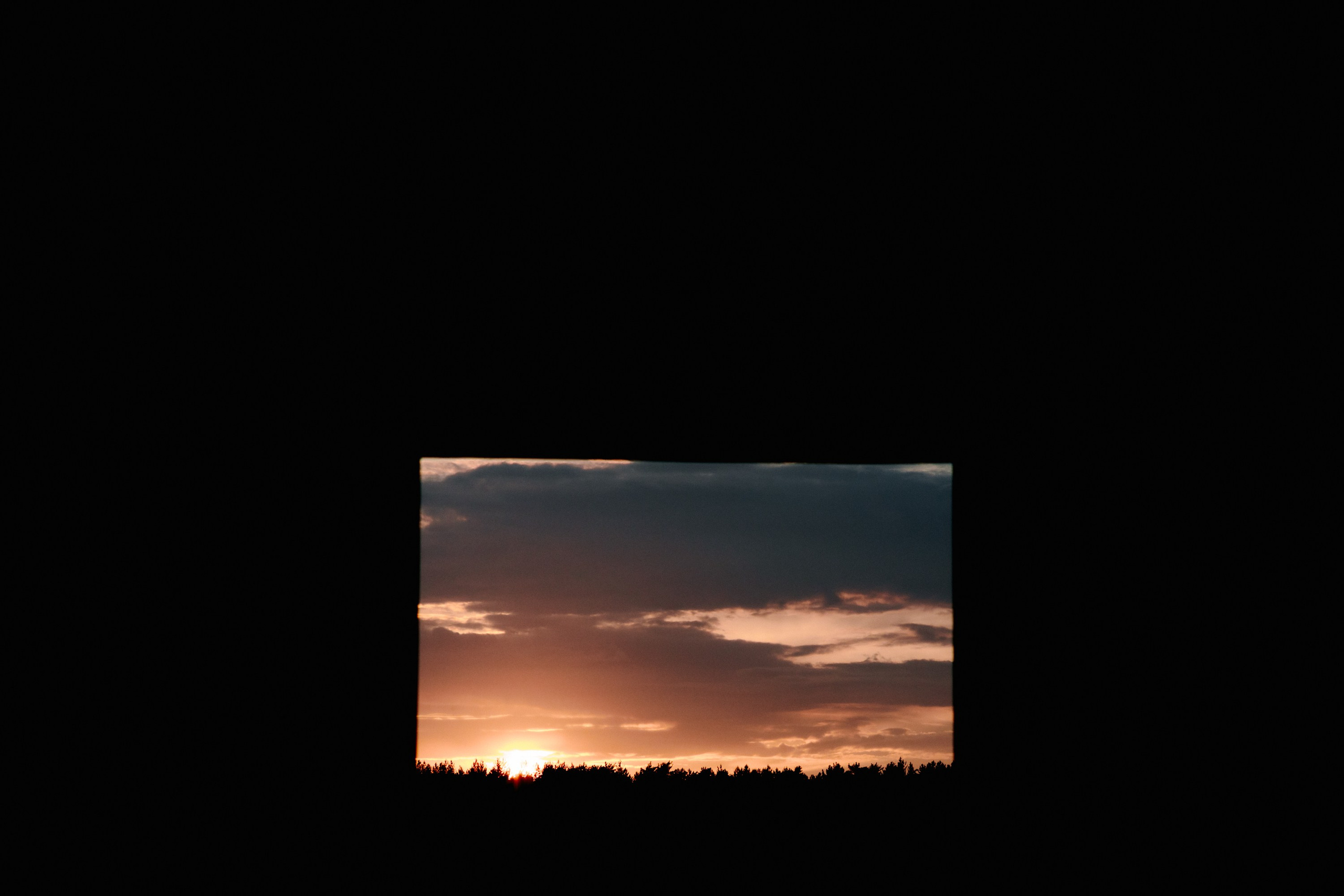 Василина и Михаил. Репортажный и портретный фотограф во Владимире Сергей Кравцов