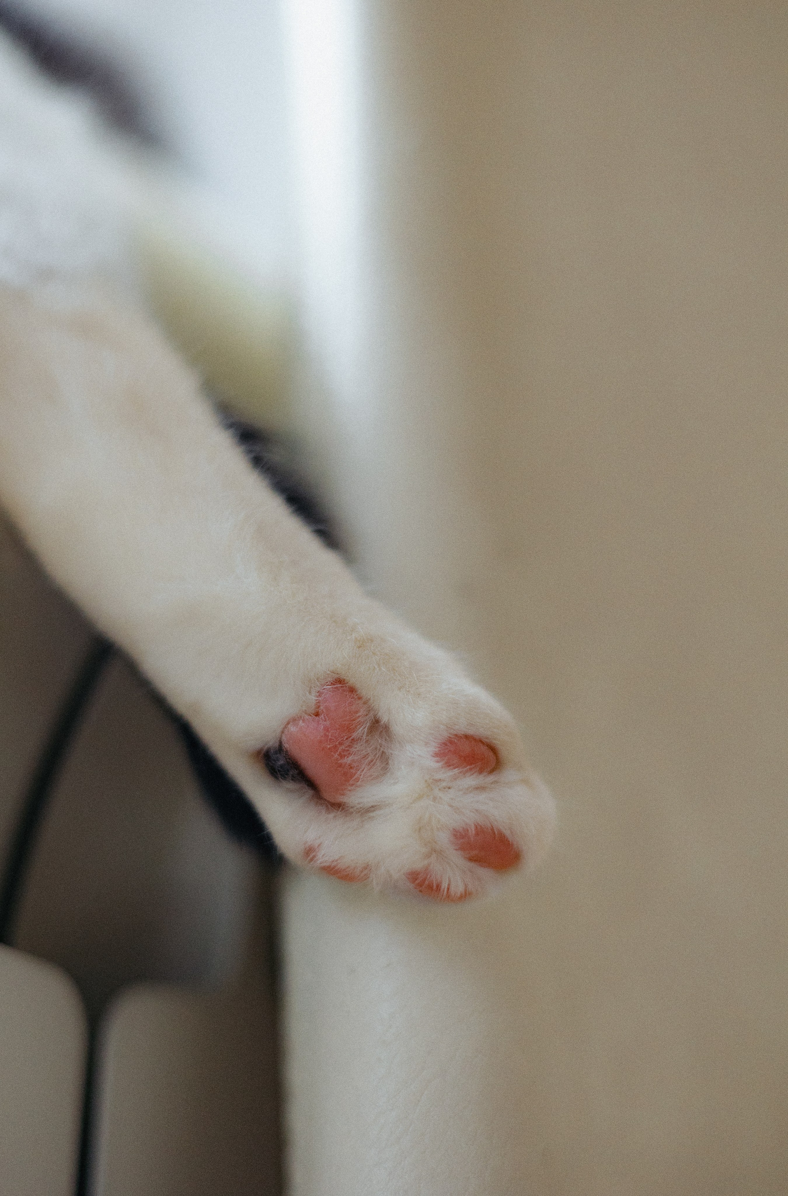 Домашняя семейная фотосессия с малышом. Портретный и семейный фотограф в Москве Мария Рослякова