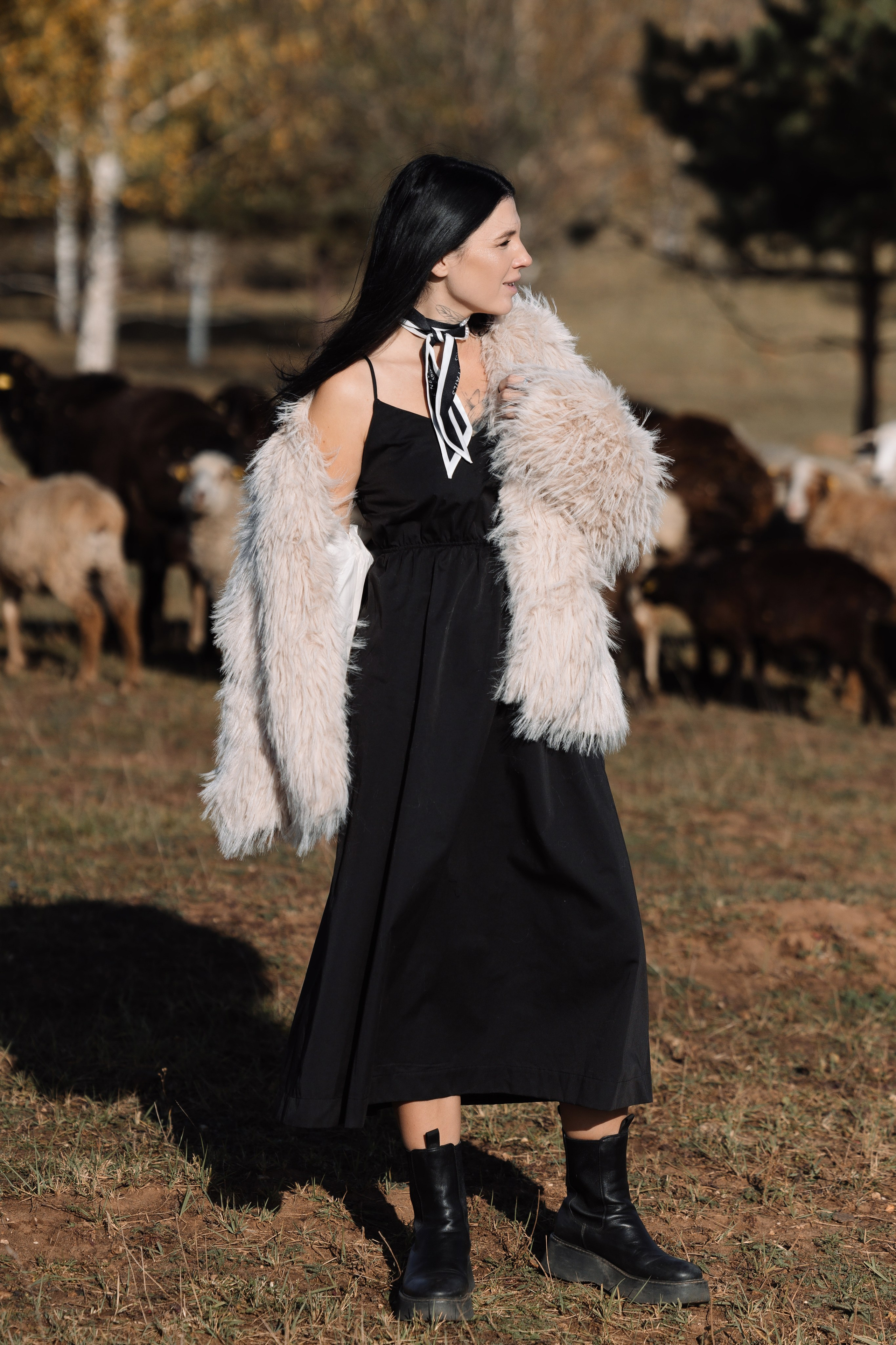 Охота на овец