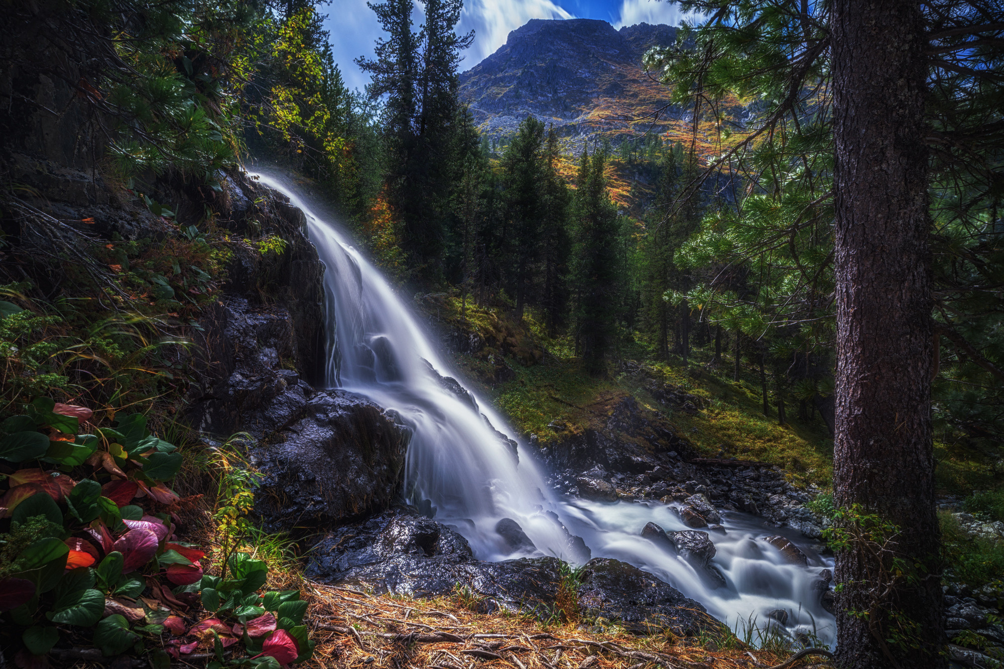 Дарующий влагу. Водопад на р. Поперечная, Катунский биосферный заповедник, Усть-Коксинский район, начало сентября 2019
