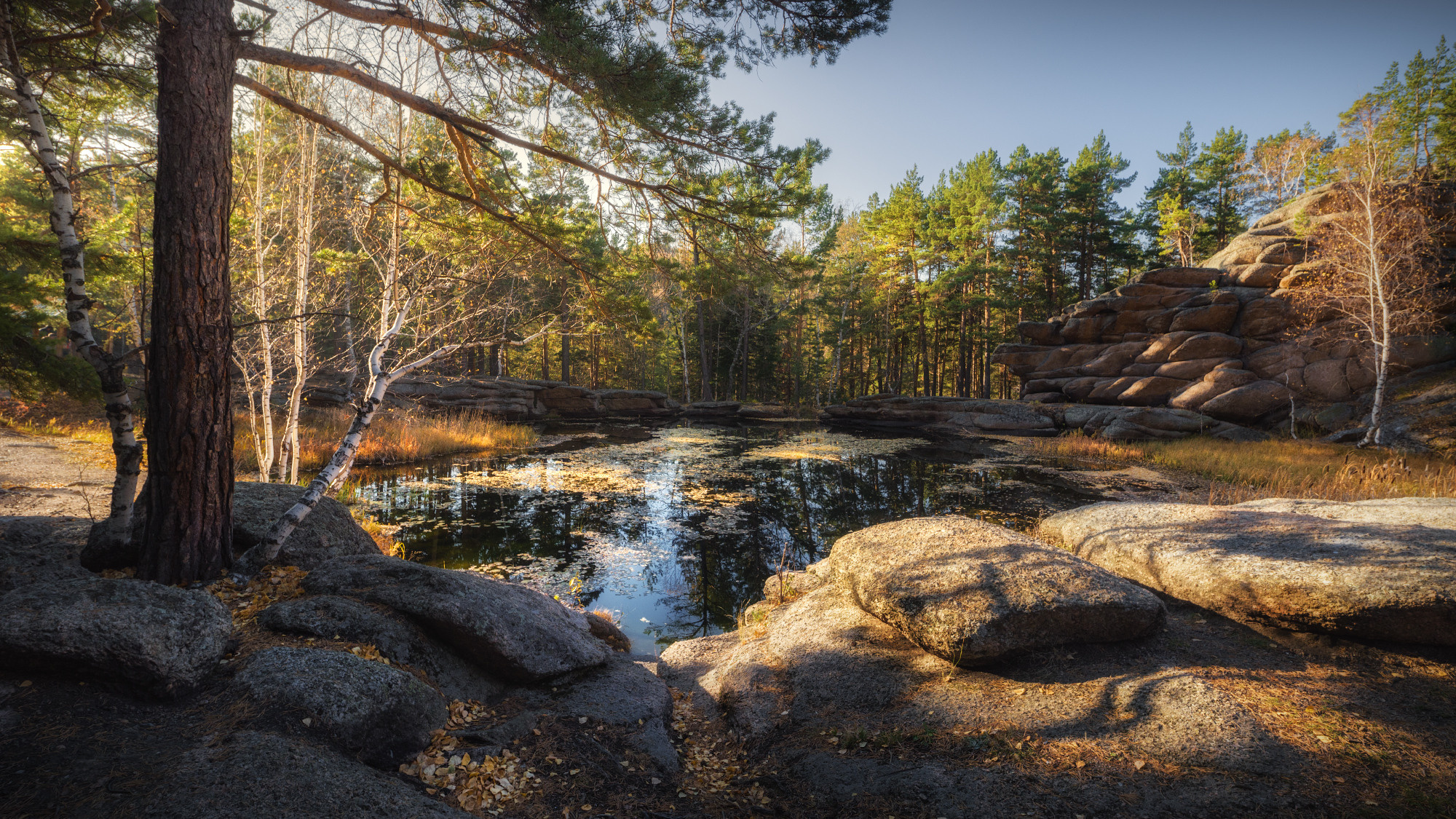 Уют Мохового озера. Озеро Моховое, Курьинский район, октябрь 2019
