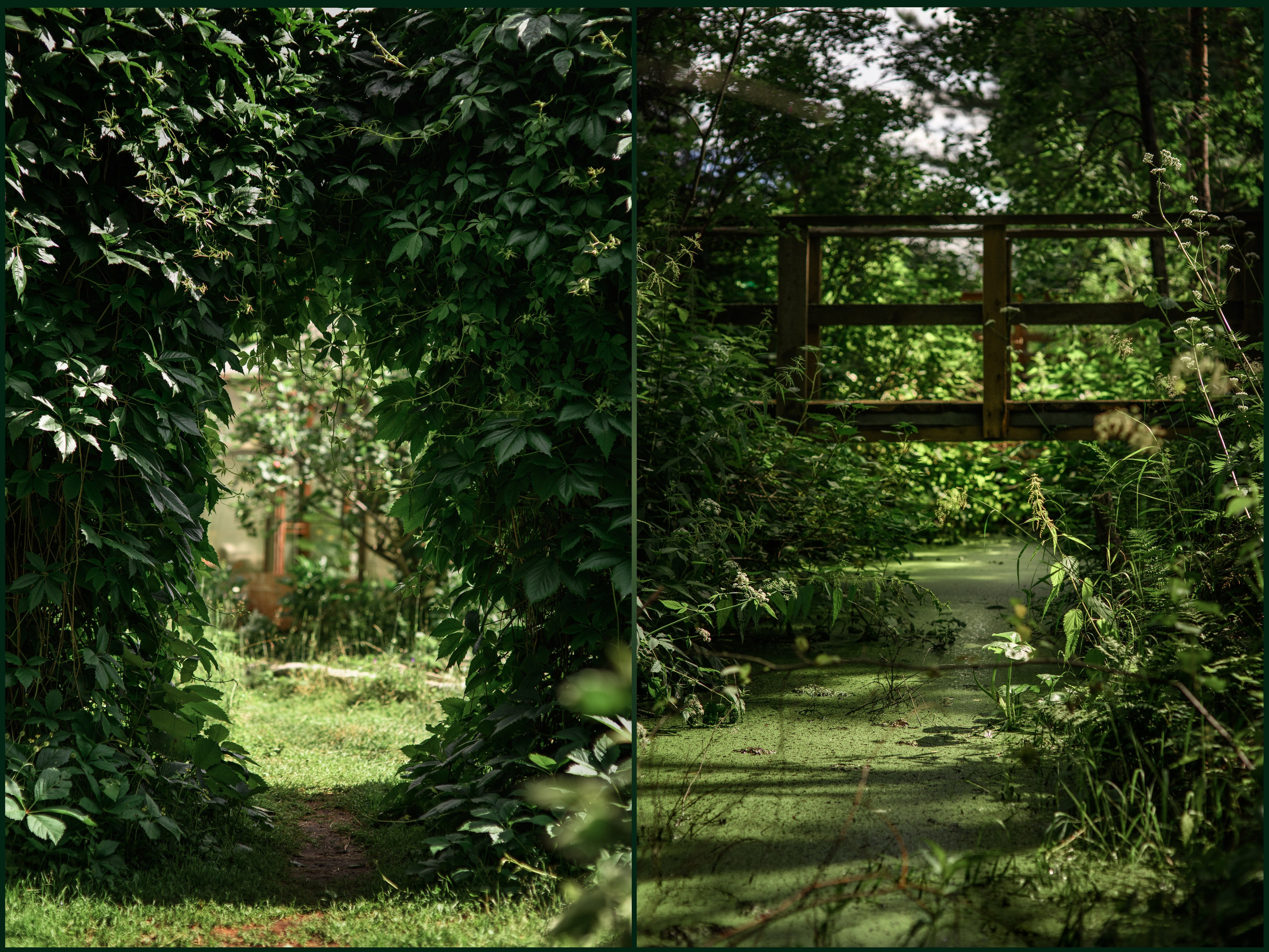 Фотостудия Зачарованный сад в Екатеринбурге