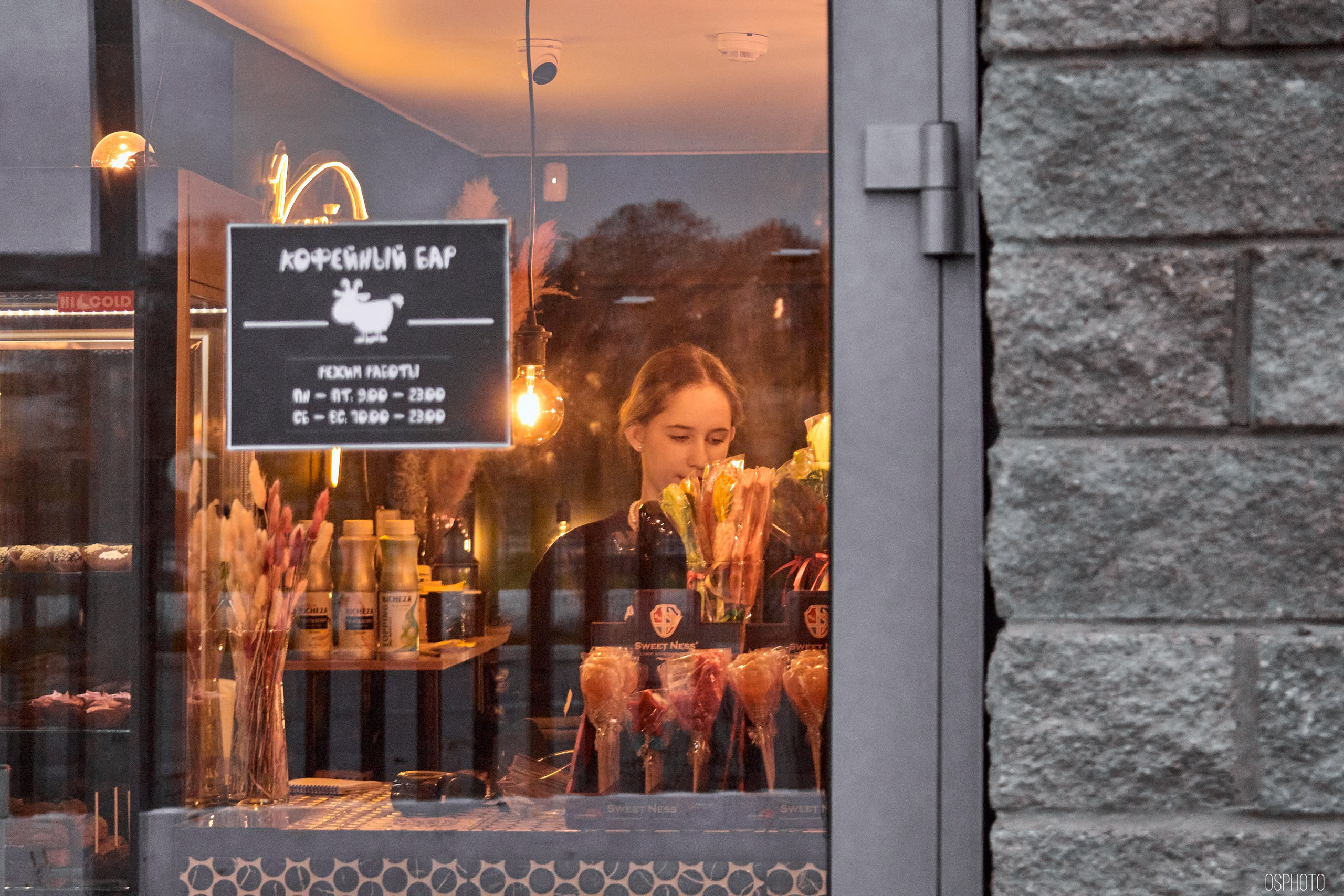 Псков. Ноябрь. Фотографъ Сергѣевъ. Поймать мгновеніе