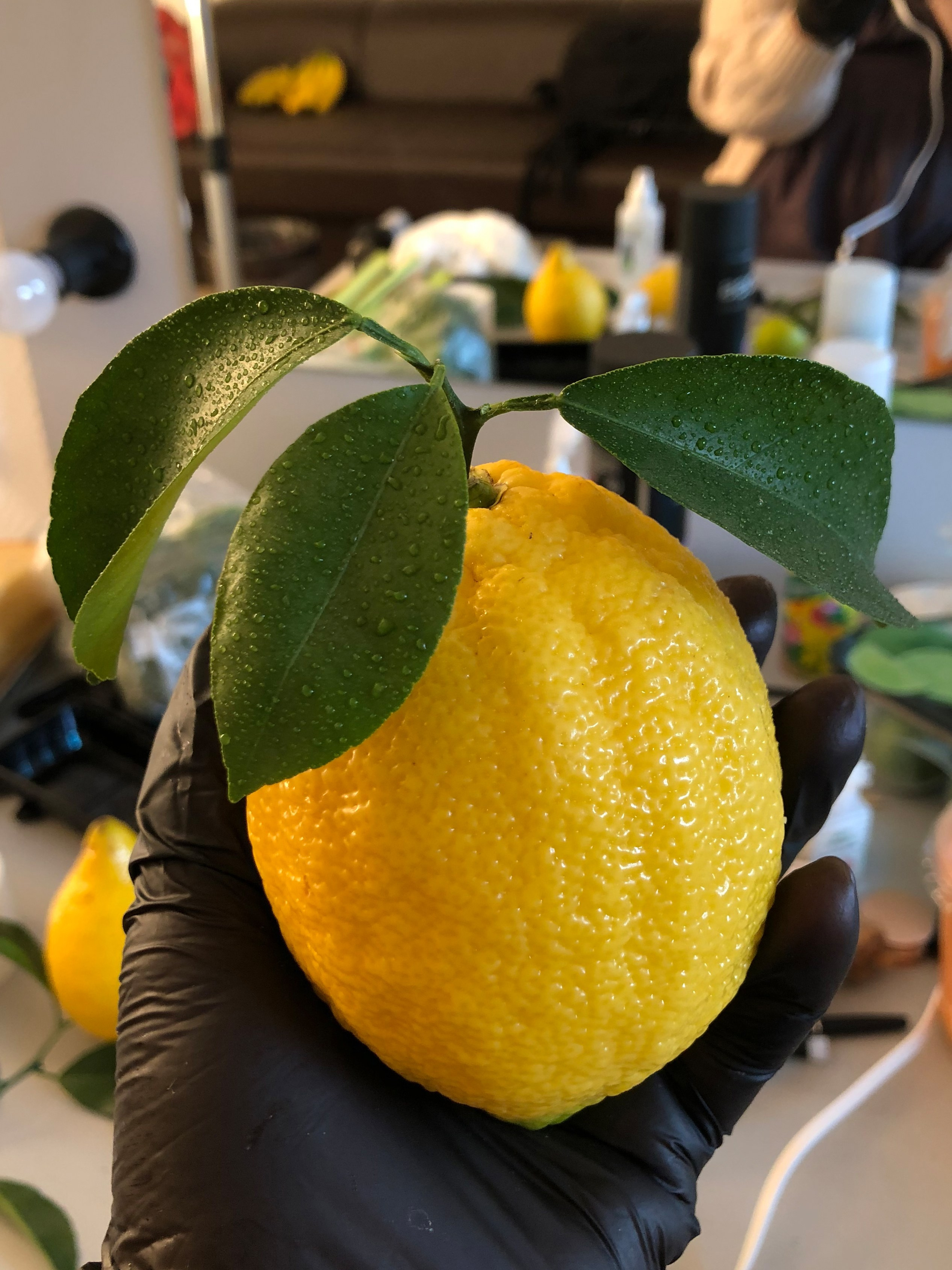 Кейсы, стоимость и backstage. Юлия Космо — фуд-фотограф, предметный стилист, Москва