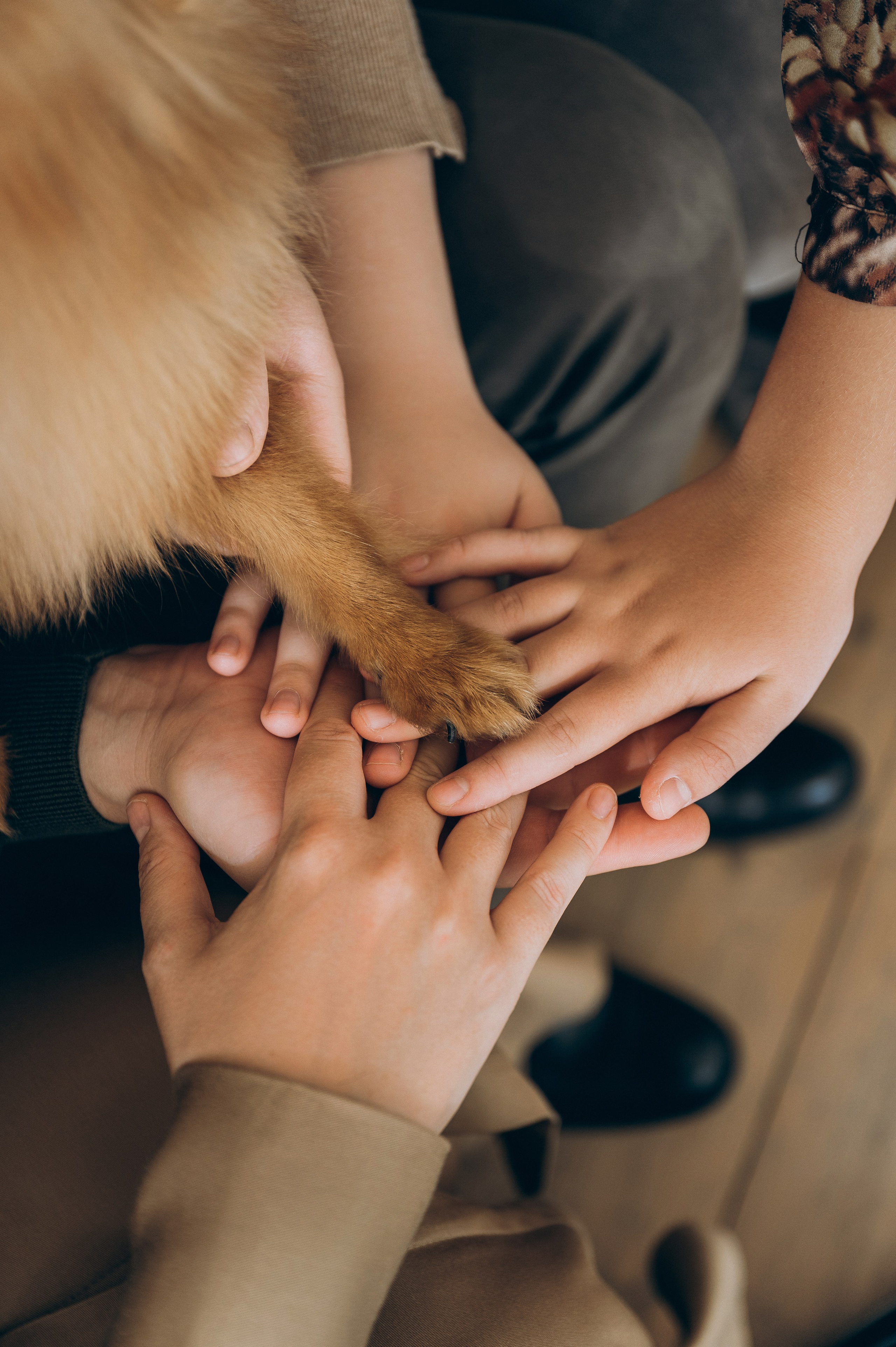 Семейные фотосессии Красноярск, детская фотосессия. Юлия Раскова — Портретный и семейный фотограф в Красноярске
