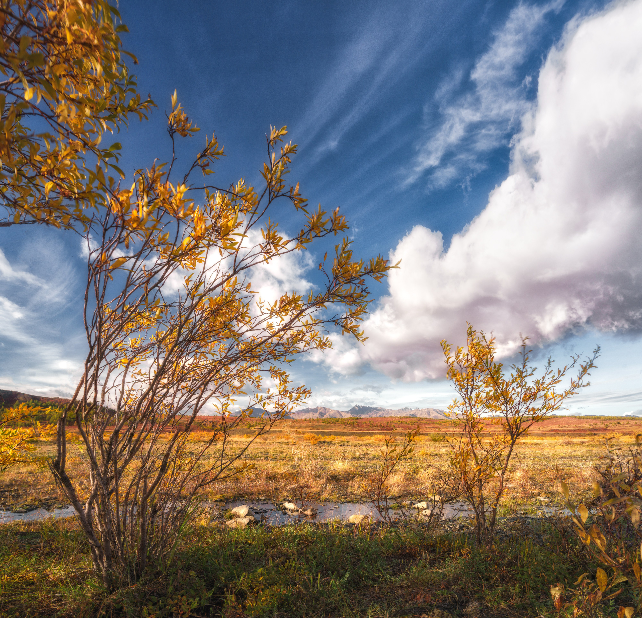 Сердце Якутии