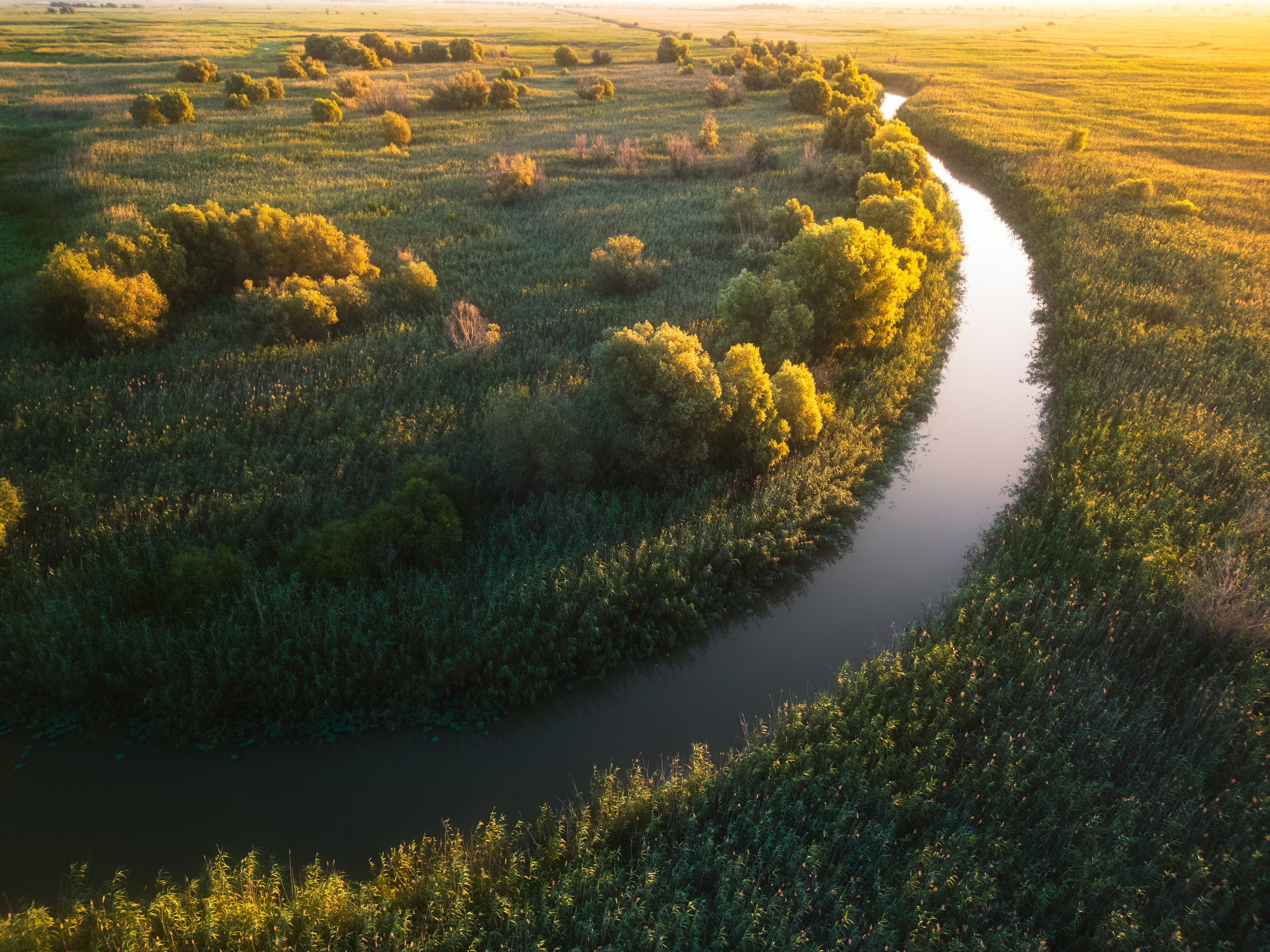 Барханы и лотосы. Июль–Август