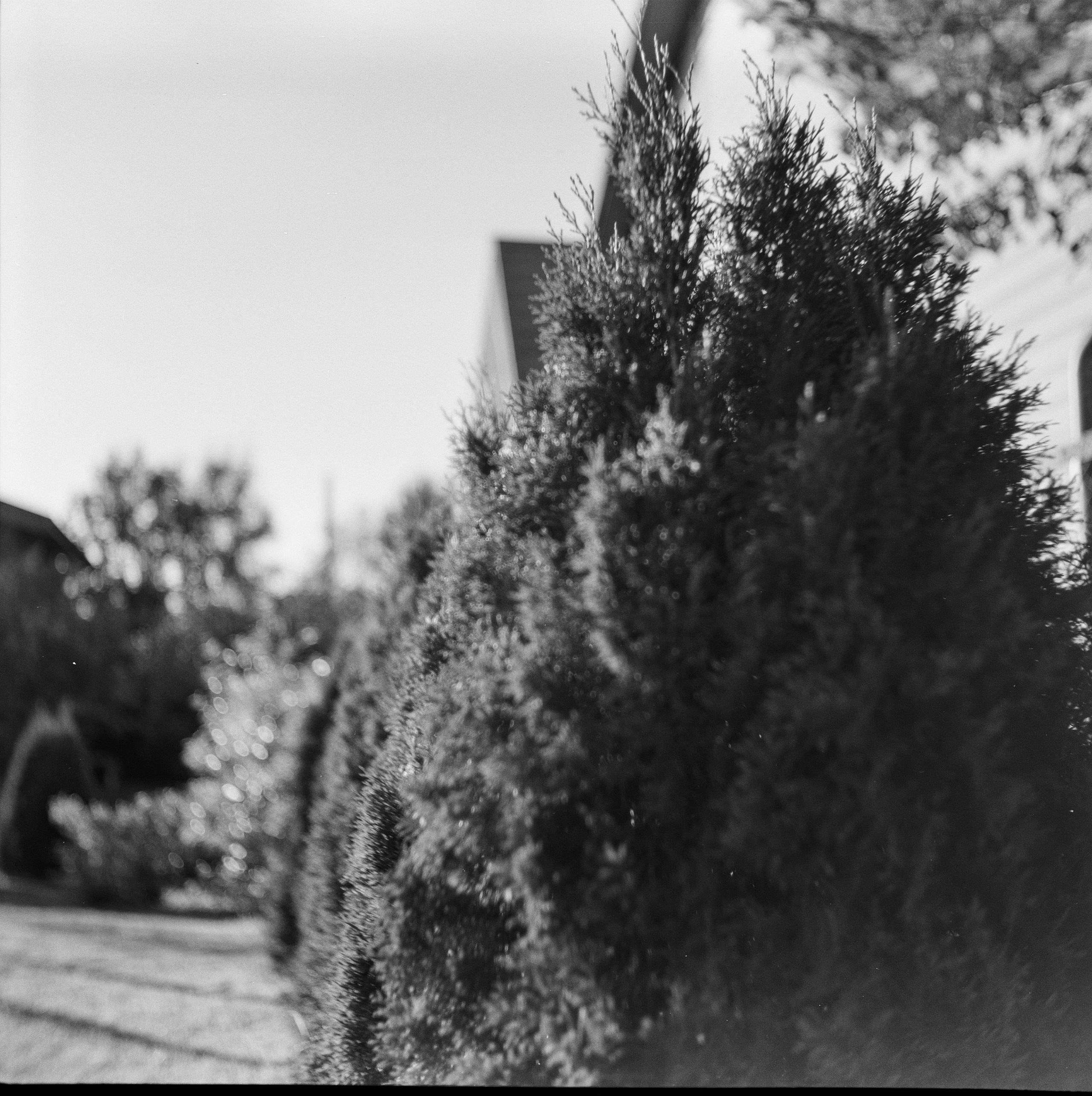 Sсhneider-Kreuznach Radionar 80mm f2.9