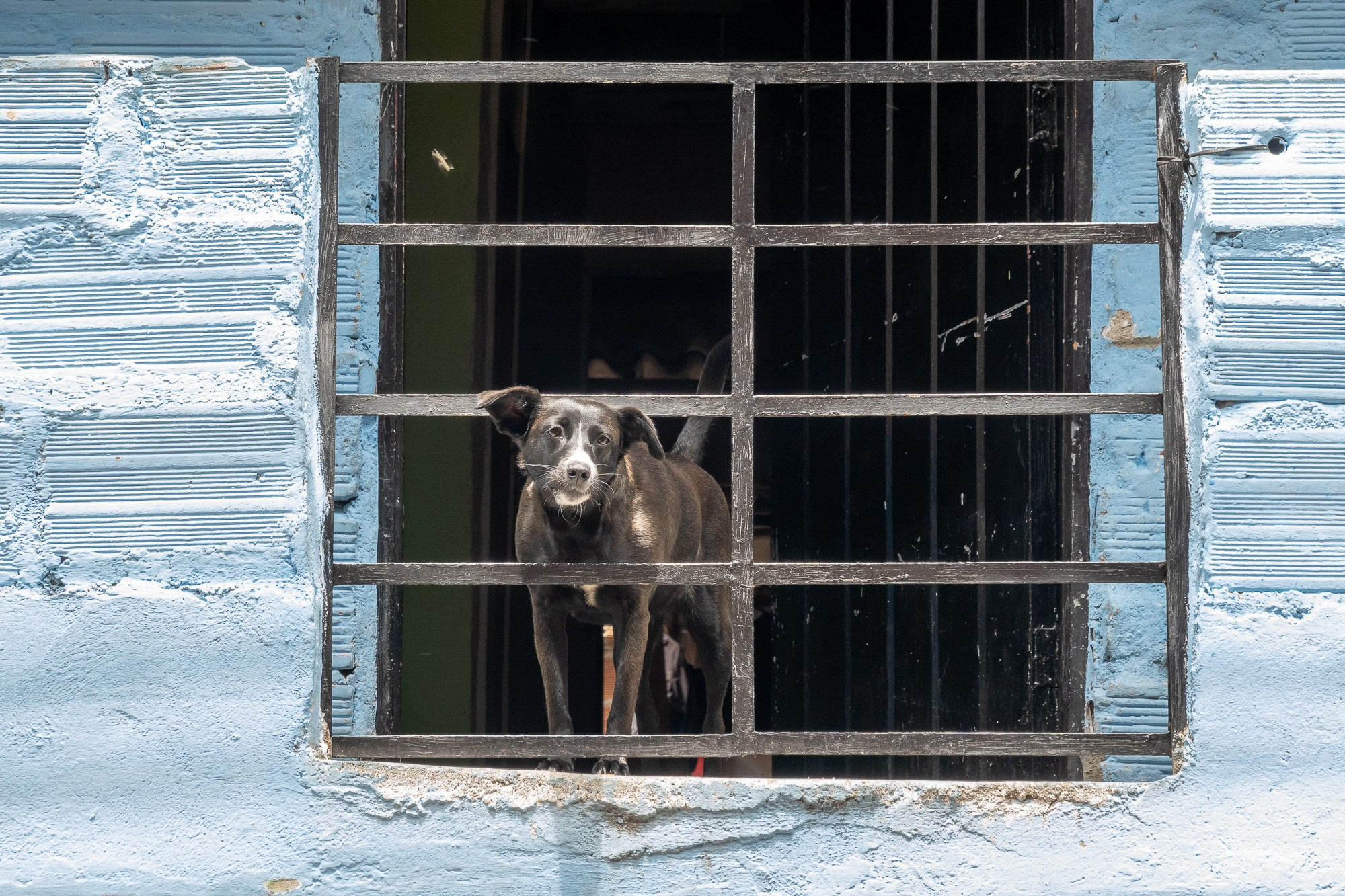 Колумбия Медельин. Colombia Medellin. Фотограф Алексей Скоробогатько