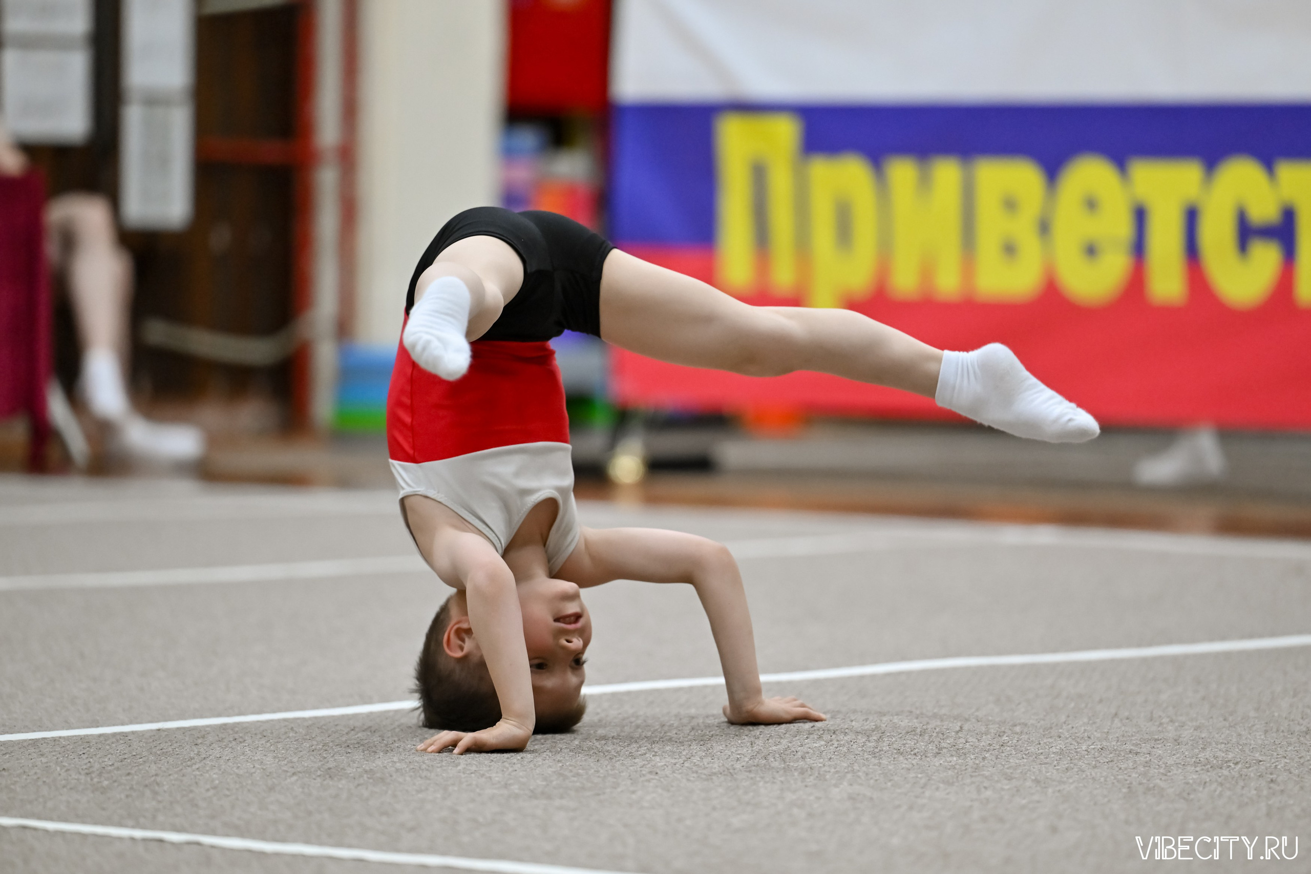 Контрольная тренировка по спортивной гимнастике. VIBECITY.RU Вайб Сити Ру Фоторепортажи Фотоотчеты Калининград