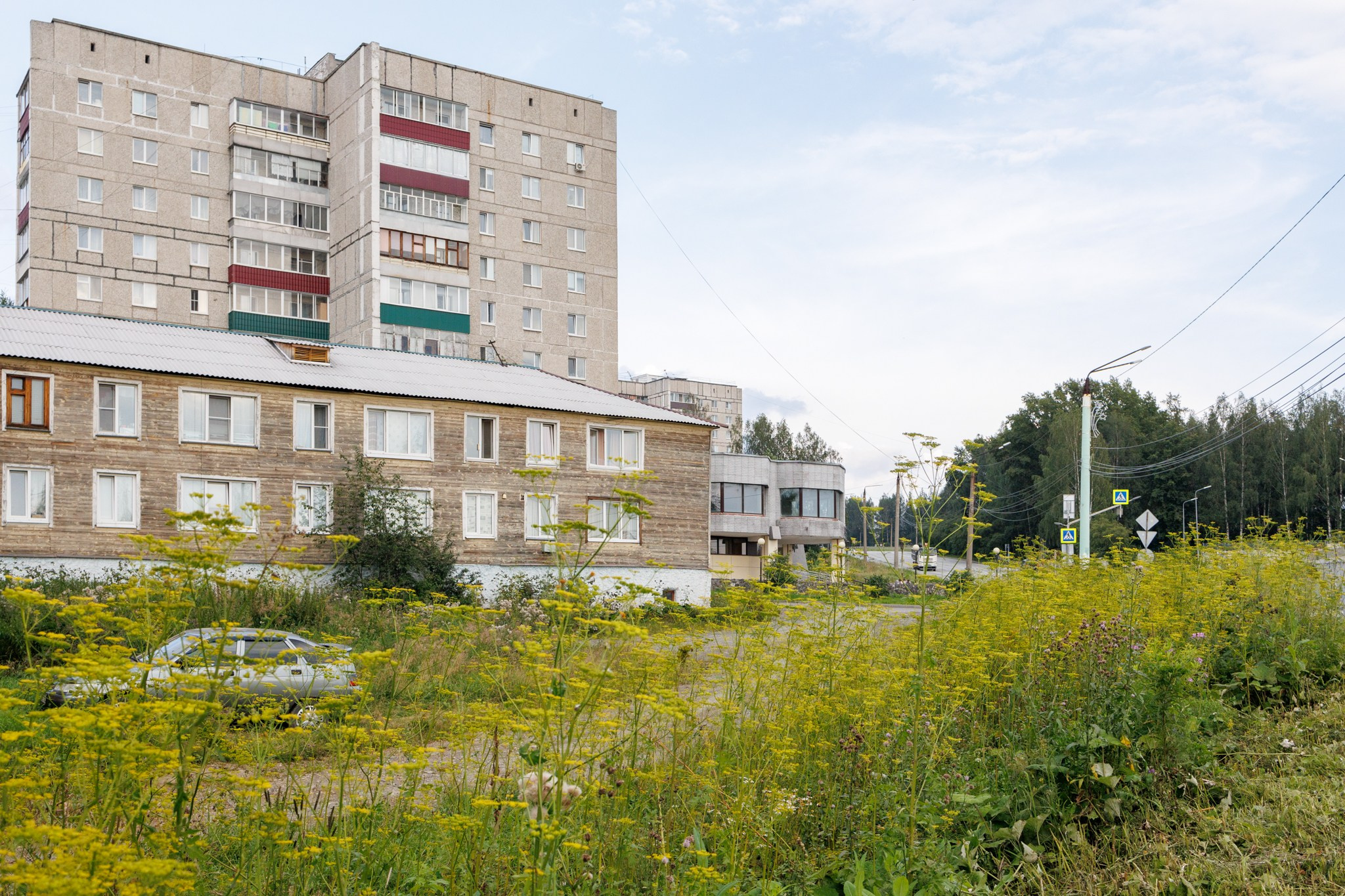 Зеленая зона. Марк Григорьев