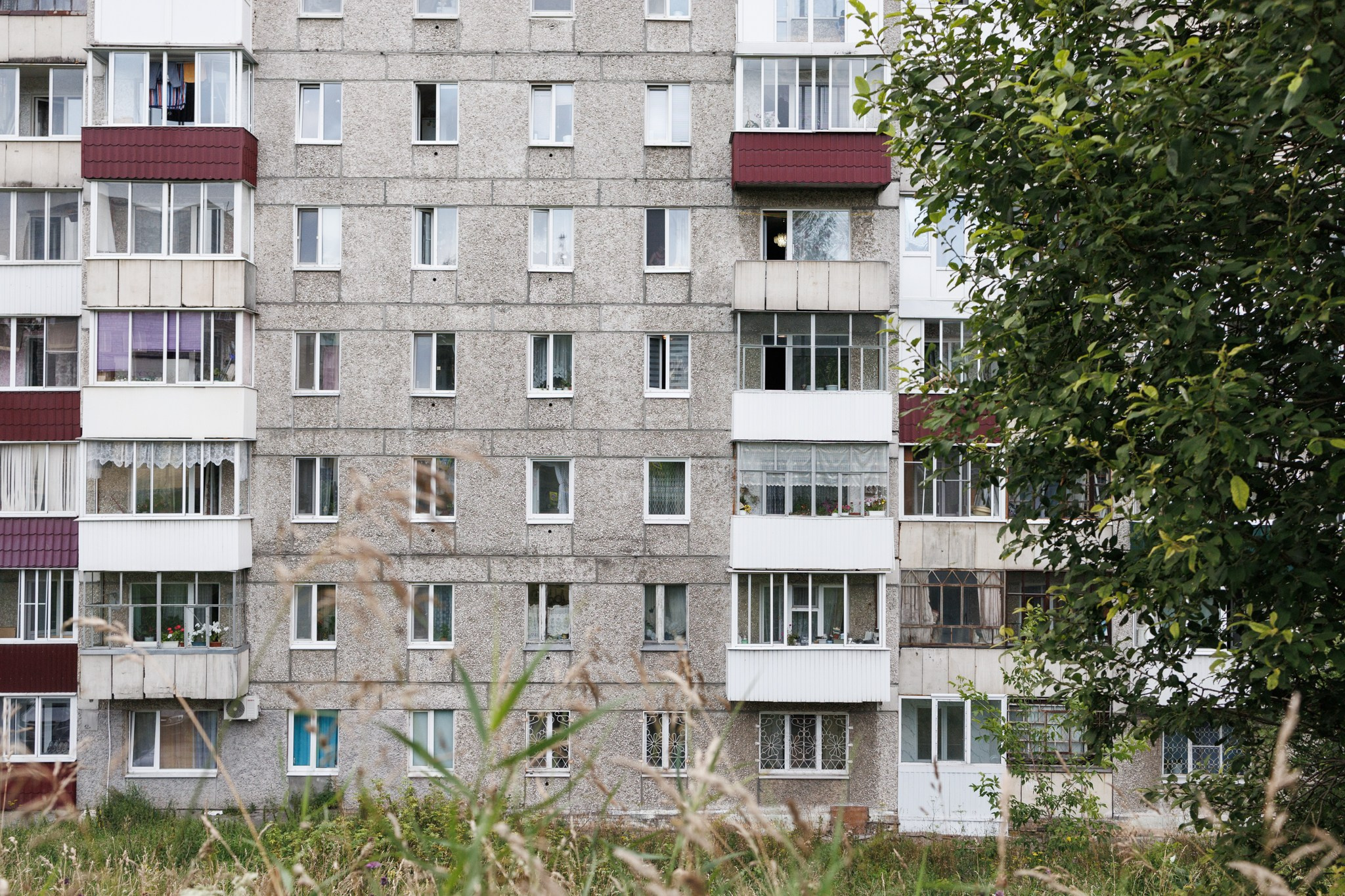 Зеленая зона. Марк Григорьев