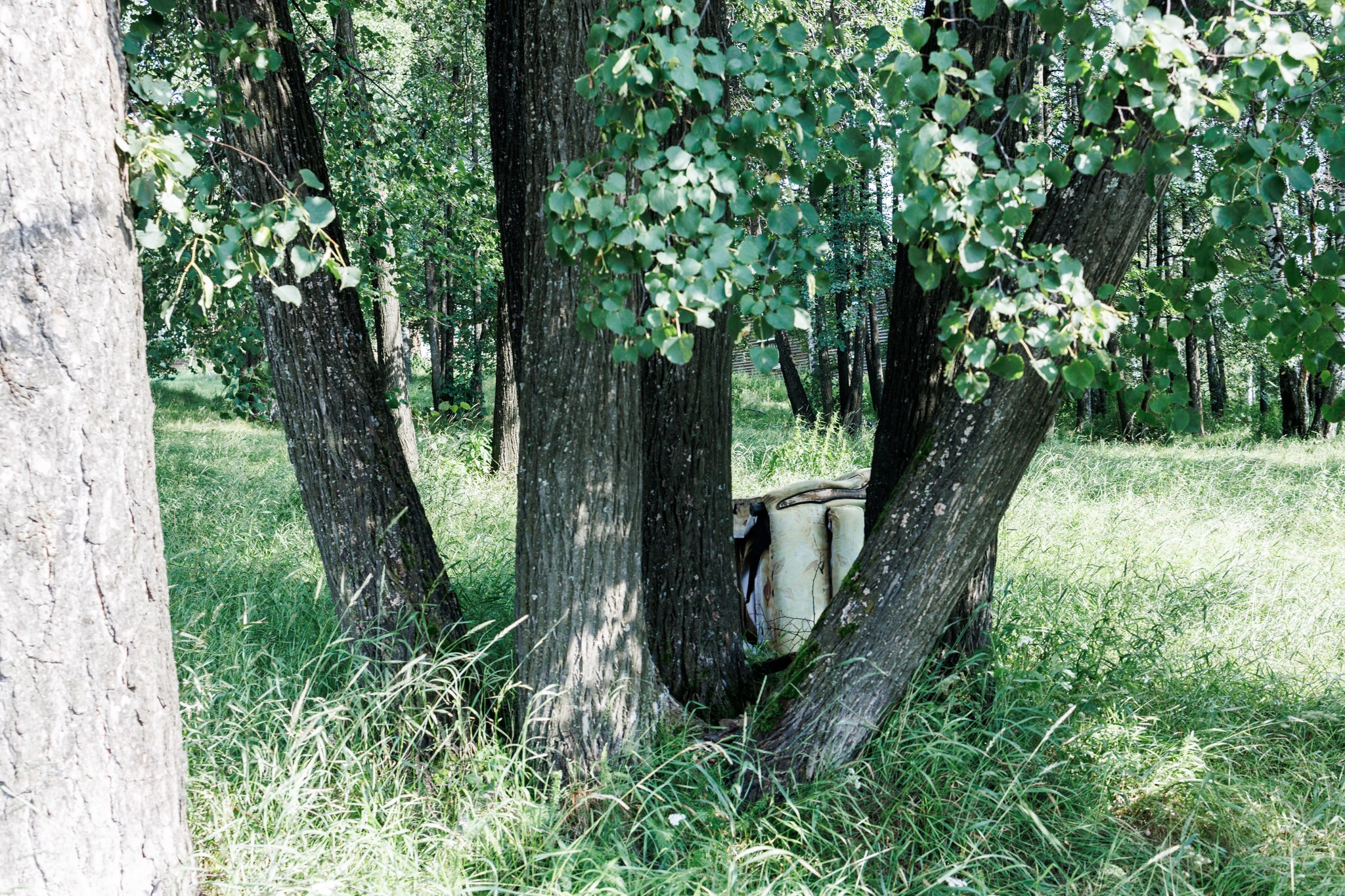 5-39-4. Марк Григорьев
