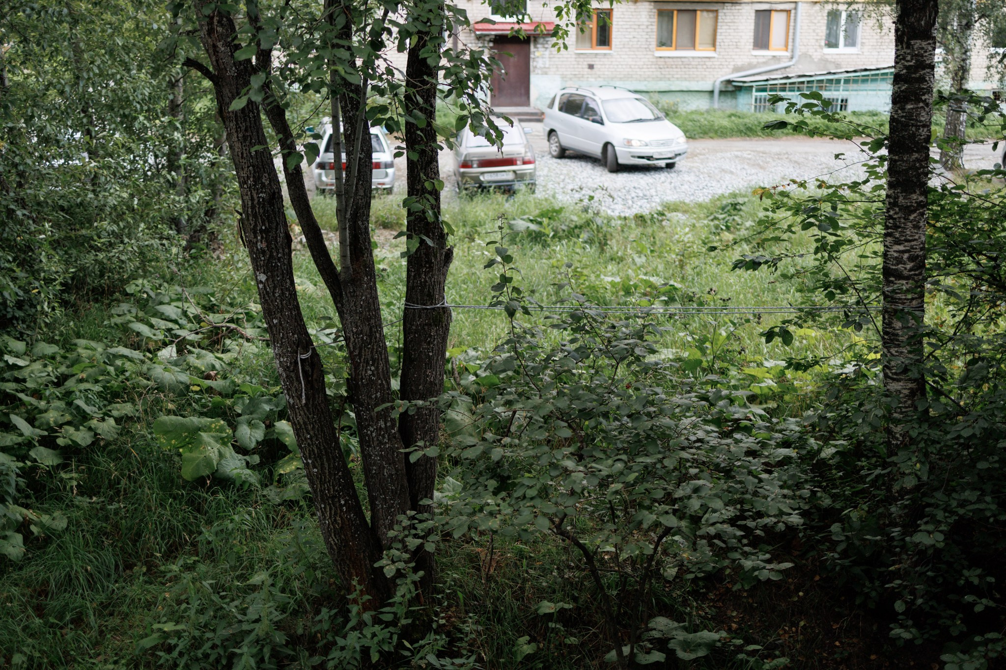 Зеленая зона. Марк Григорьев