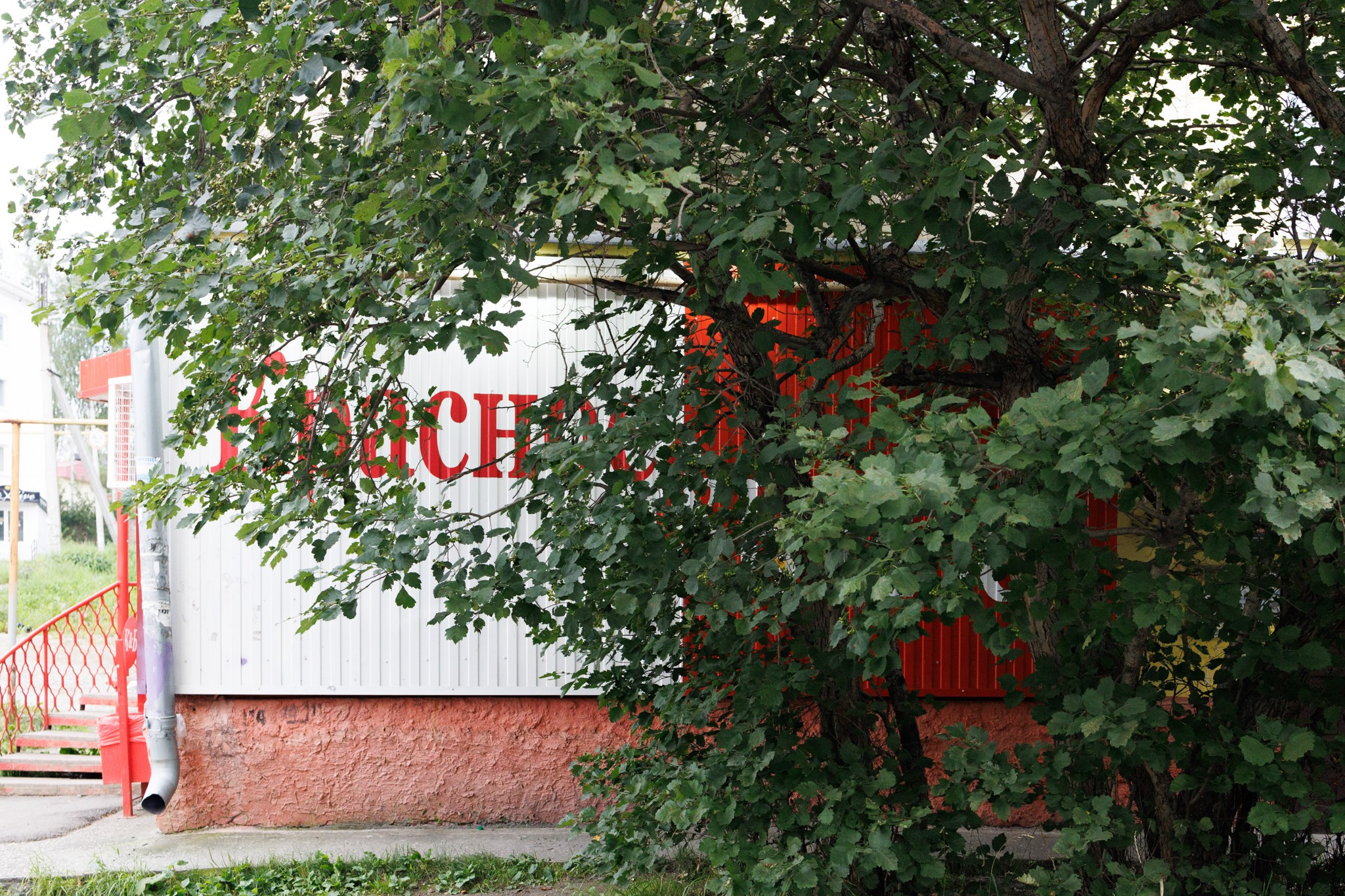 Зеленая зона. Марк Григорьев