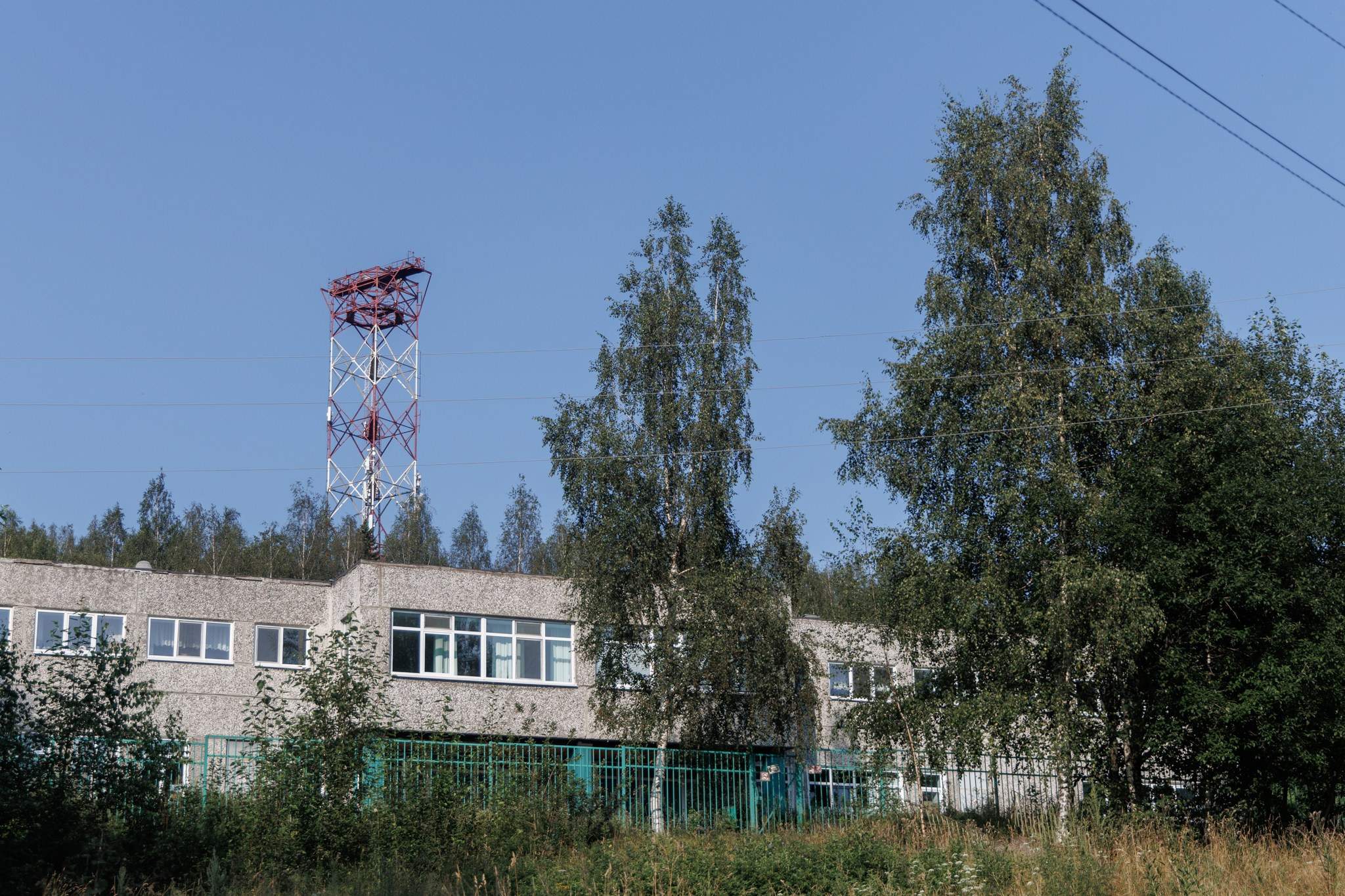 Зеленая зона. Марк Григорьев