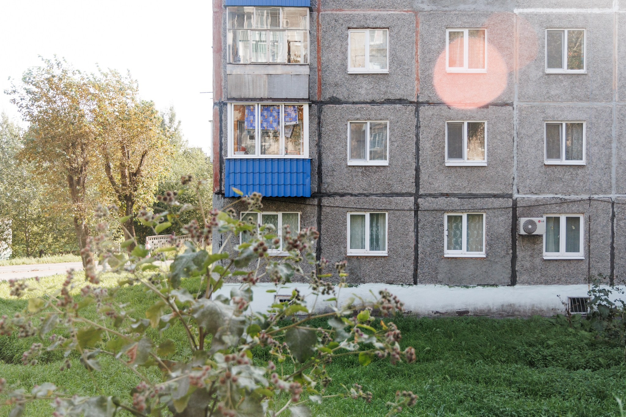 Зеленая зона. Марк Григорьев