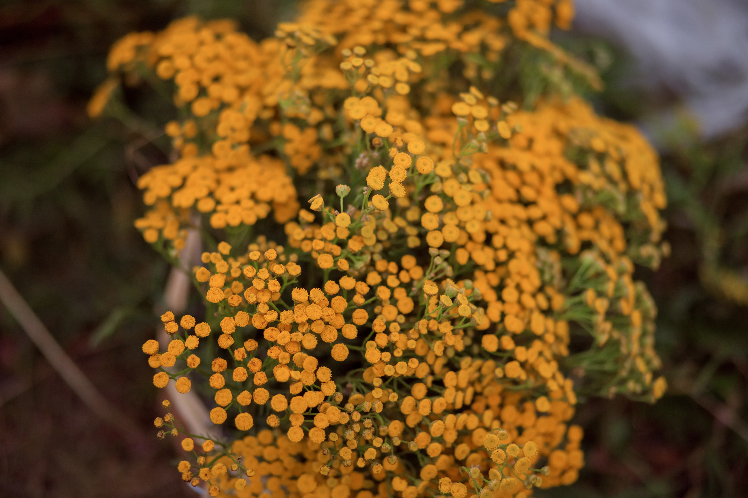 Фотосессия Кати и Алии. Семейный и детский фотограф в Краснодаре Лафета Алена