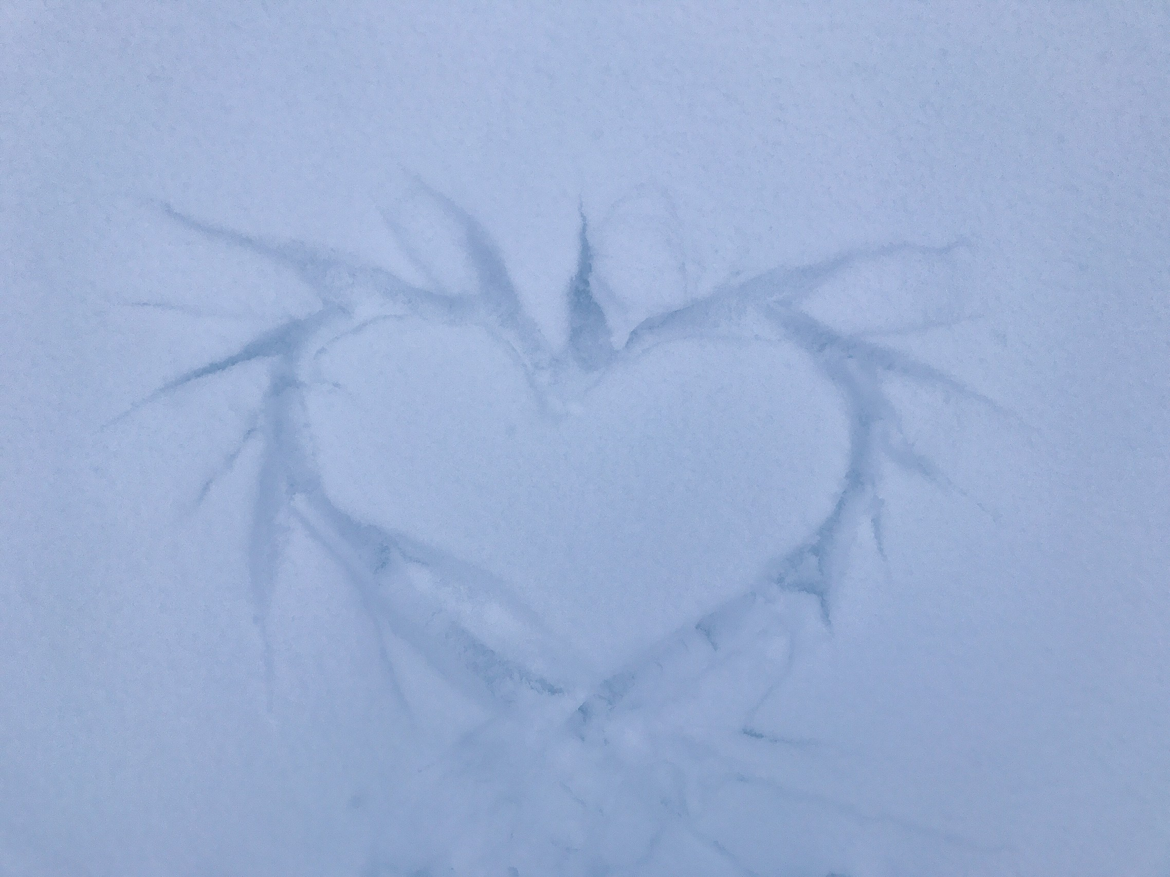 Все вокруг говорят о войне. Аmat Victoria Сuram