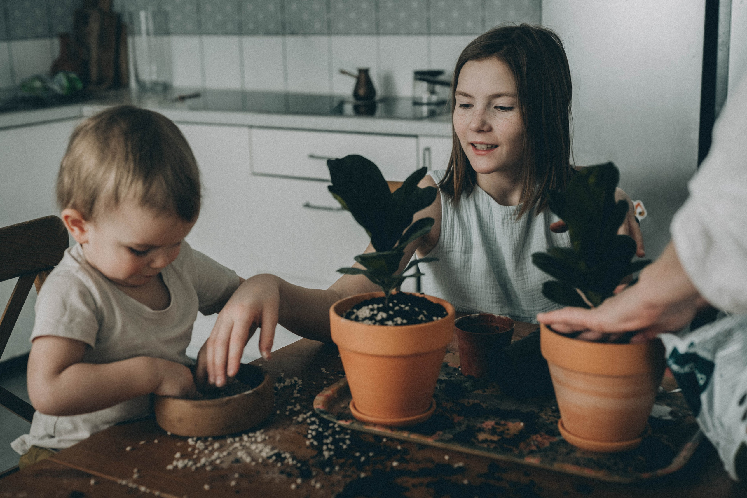 Музыка в доме. Семейный фотограф из Петрозаводска, Карелия