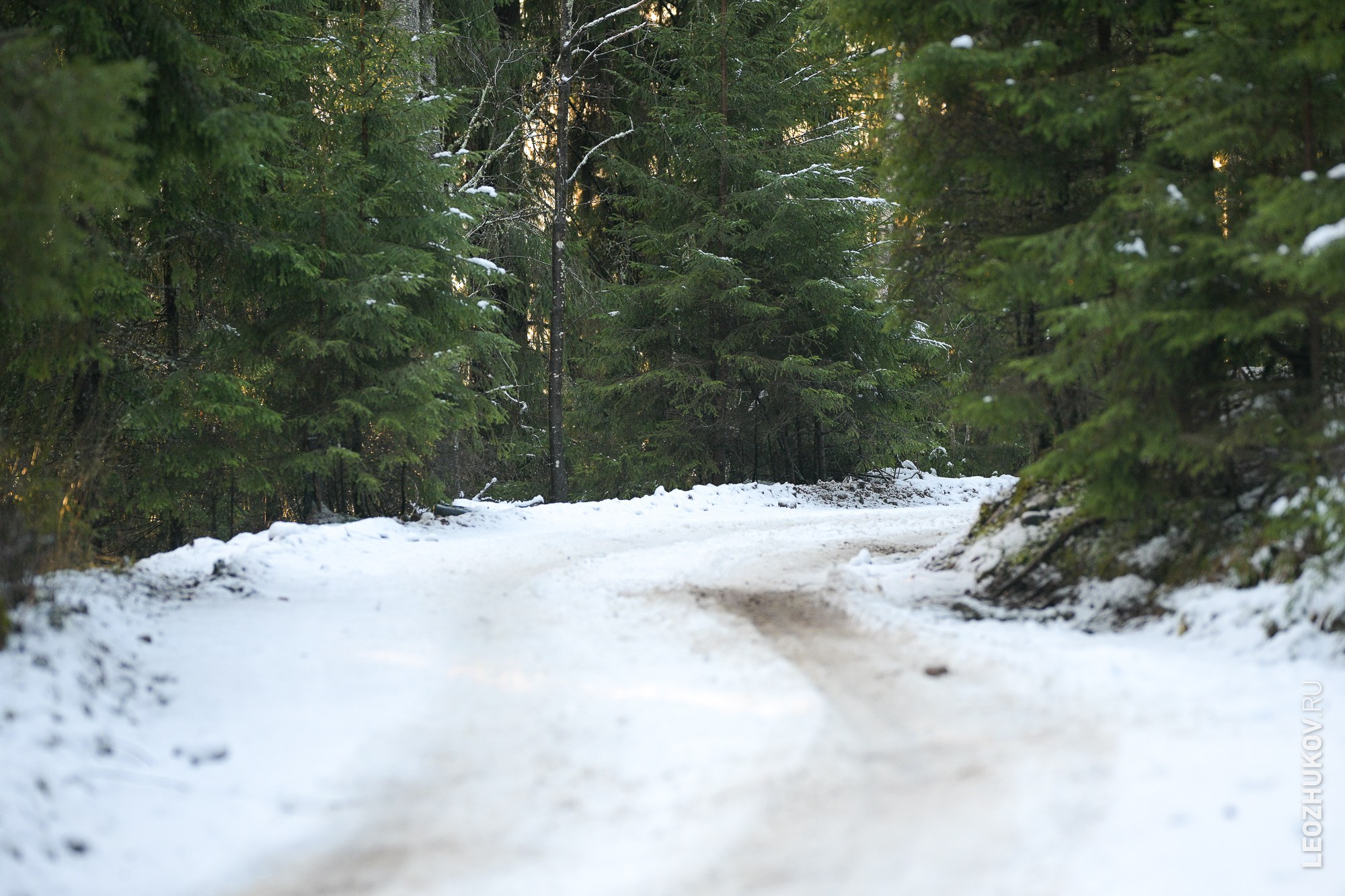 Rally Vyborg 2024. Sports photographer Leonid Zhukov