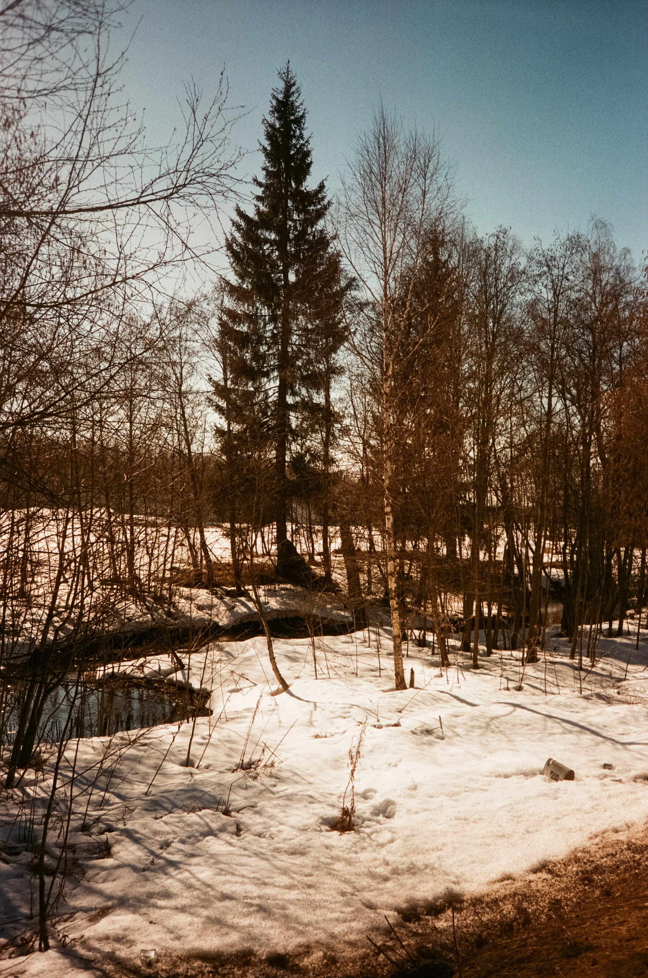 Ricoh FF-300D / Fujifilm X-tra 400 (просрочка) / Лукино март 2024 г