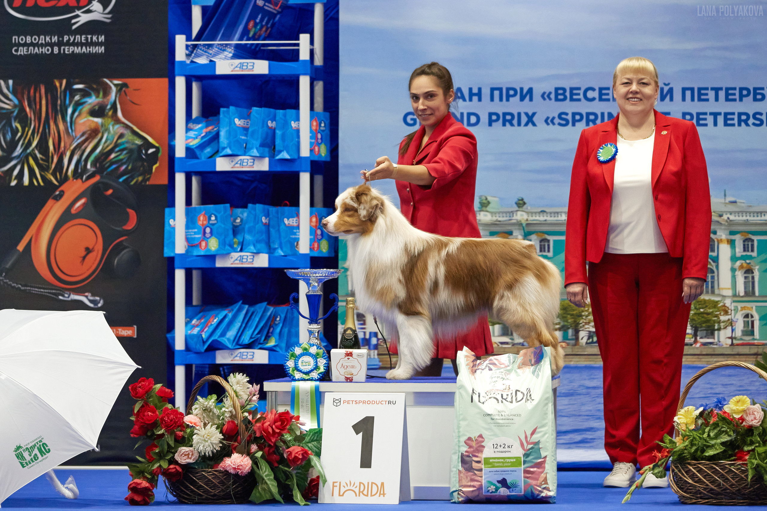 NDS GRAND PRIX «SPRING PETERSBURG 2023», «ELITE-PETERSBURG 2023». ФОТОГРАФ-АНИМАЛИСТ l LANA POLYAKOVA