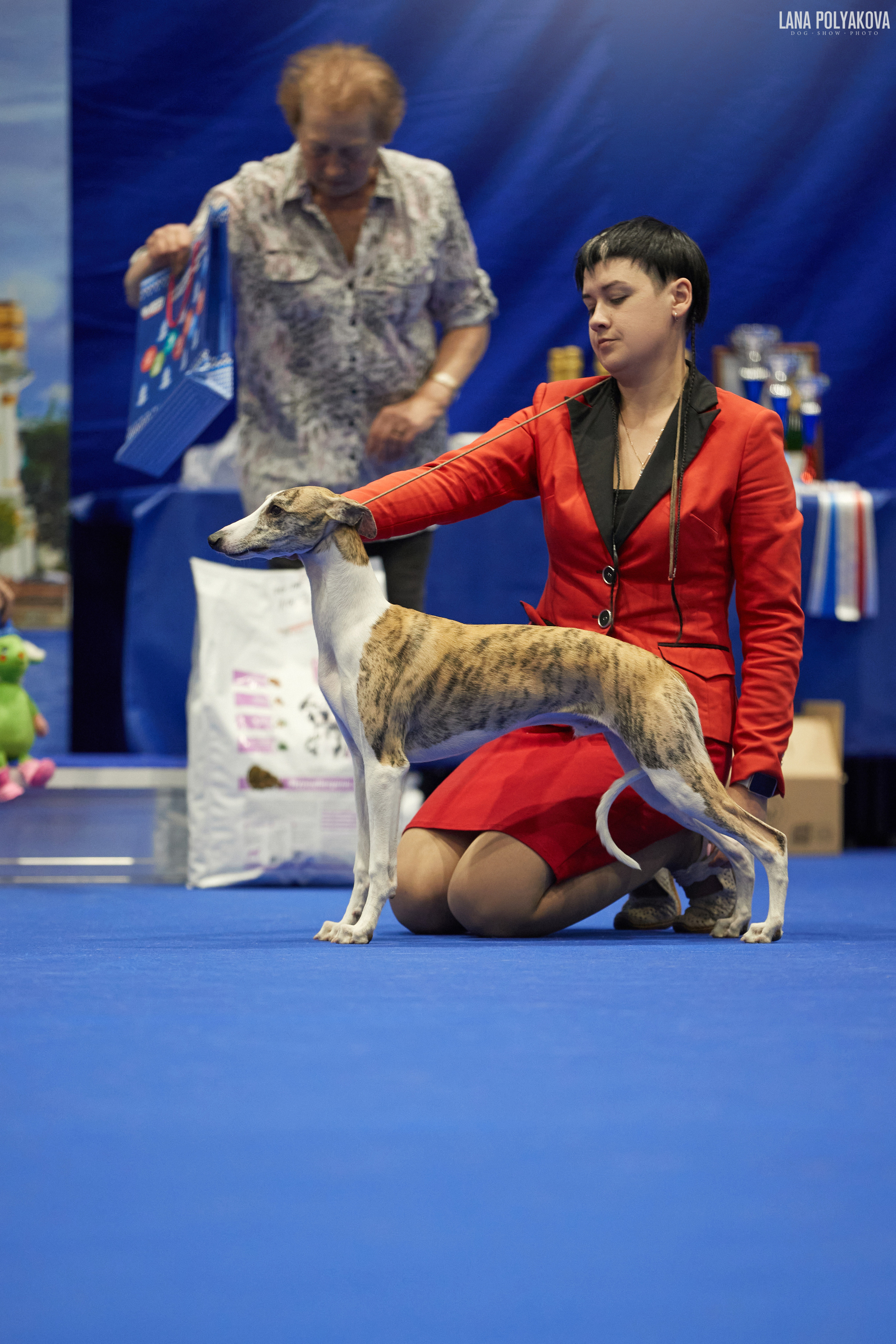 NDS GRAND PRIX «SPRING PETERSBURG 2023», «ELITE-PETERSBURG 2023». ФОТОГРАФ-АНИМАЛИСТ l LANA POLYAKOVA