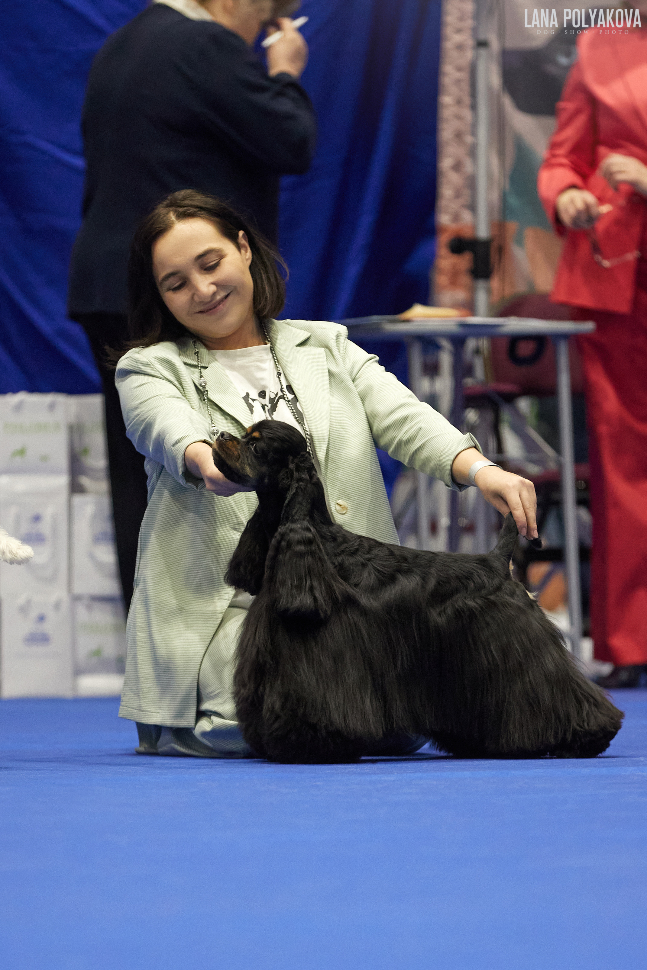 NDS GRAND PRIX «SPRING PETERSBURG 2023», «ELITE-PETERSBURG 2023». ФОТОГРАФ-АНИМАЛИСТ l LANA POLYAKOVA