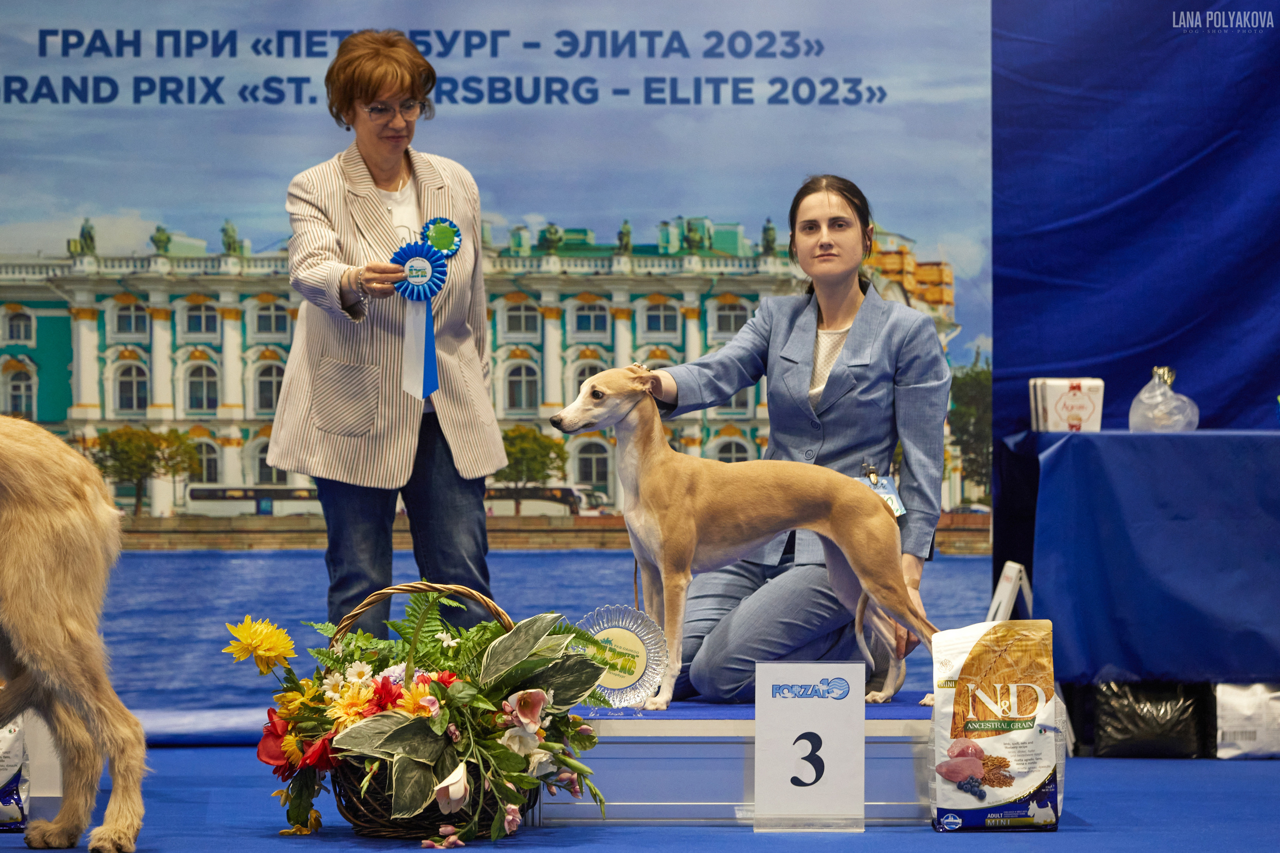 NDS GRAND PRIX «SPRING PETERSBURG 2023», «ELITE-PETERSBURG 2023». ФОТОГРАФ-АНИМАЛИСТ l LANA POLYAKOVA