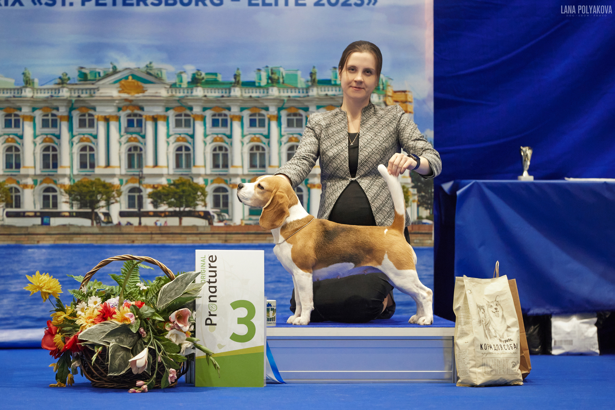 NDS GRAND PRIX «SPRING PETERSBURG 2023», «ELITE-PETERSBURG 2023». ФОТОГРАФ-АНИМАЛИСТ l LANA POLYAKOVA