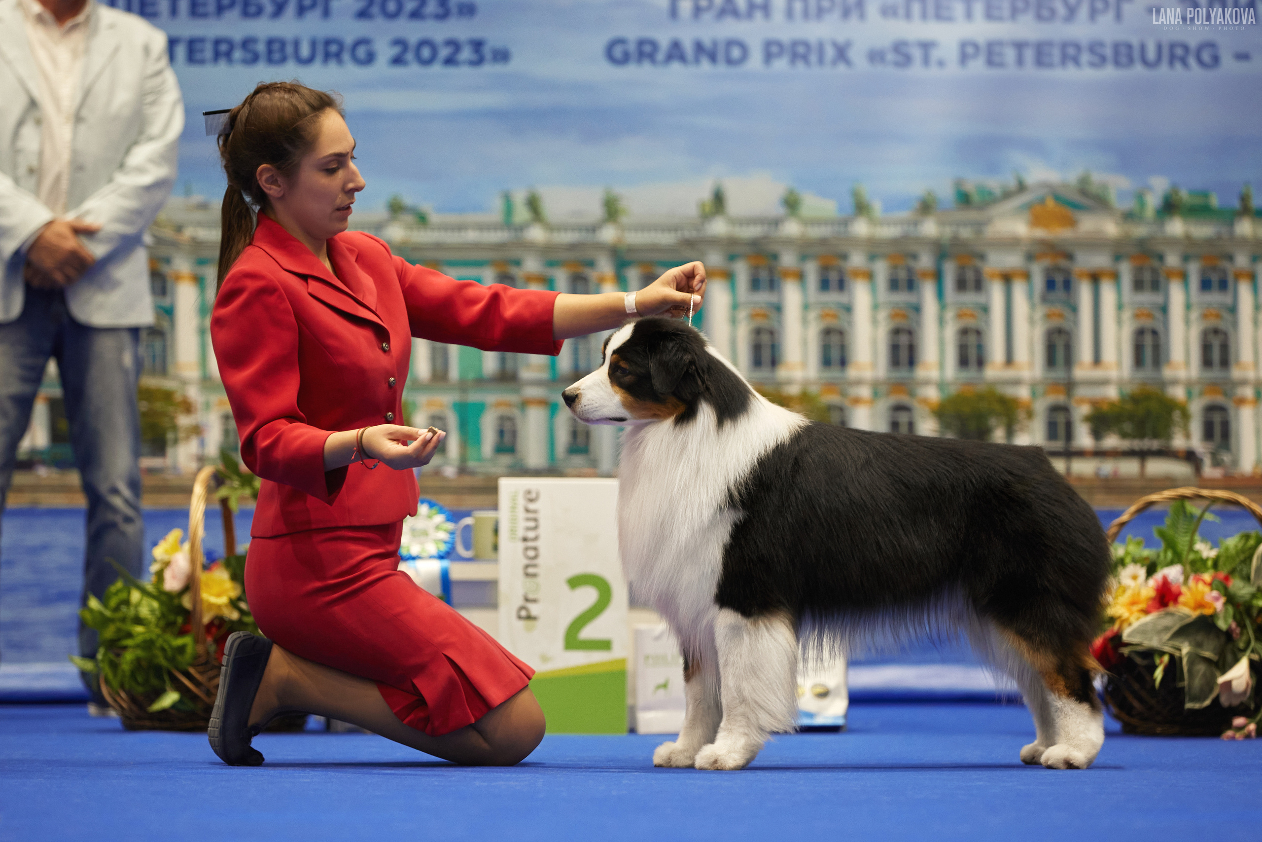 NDS GRAND PRIX «SPRING PETERSBURG 2023», «ELITE-PETERSBURG 2023». ФОТОГРАФ-АНИМАЛИСТ l LANA POLYAKOVA