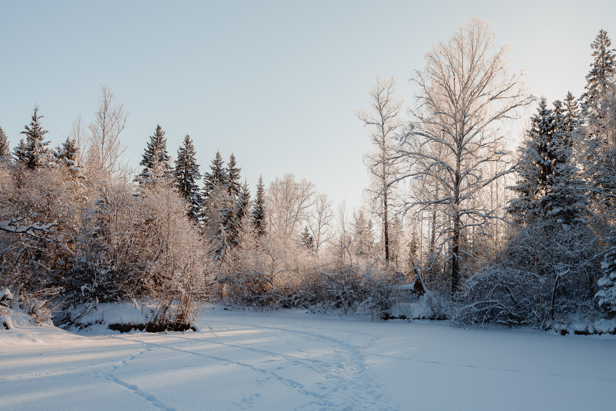 Зима 2023, -30. Семейный и детский фотограф в Железногорске Саламахо Ольга