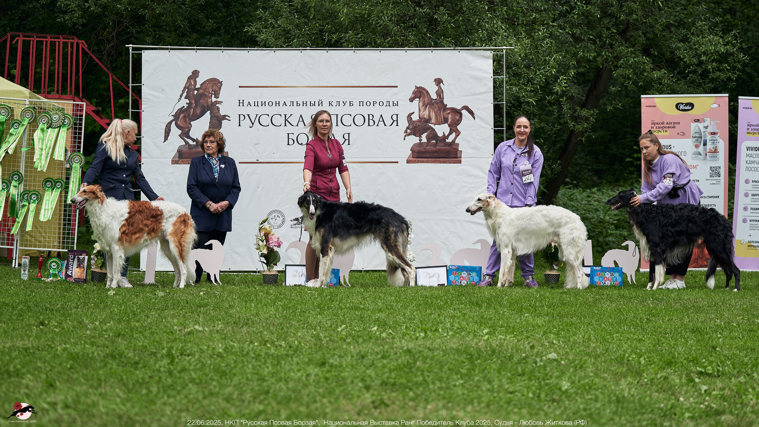 22.06.2025 | Национальная Выставка НКП "Русская Псовая Борзая"