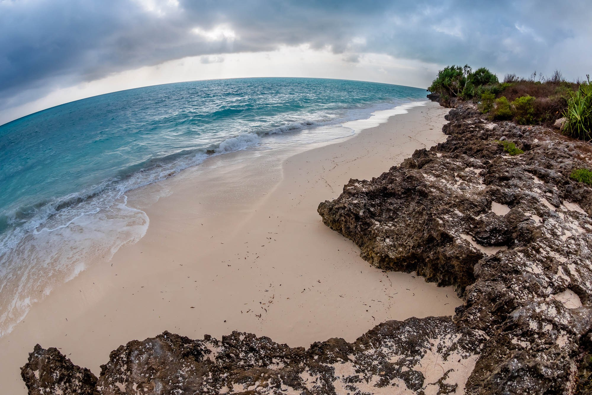 Африка, Танзания, Занзибар, Нунгви. Africa, Tanzania, Zanzibar, Nungwi. Фотограф Алексей Скоробогатько