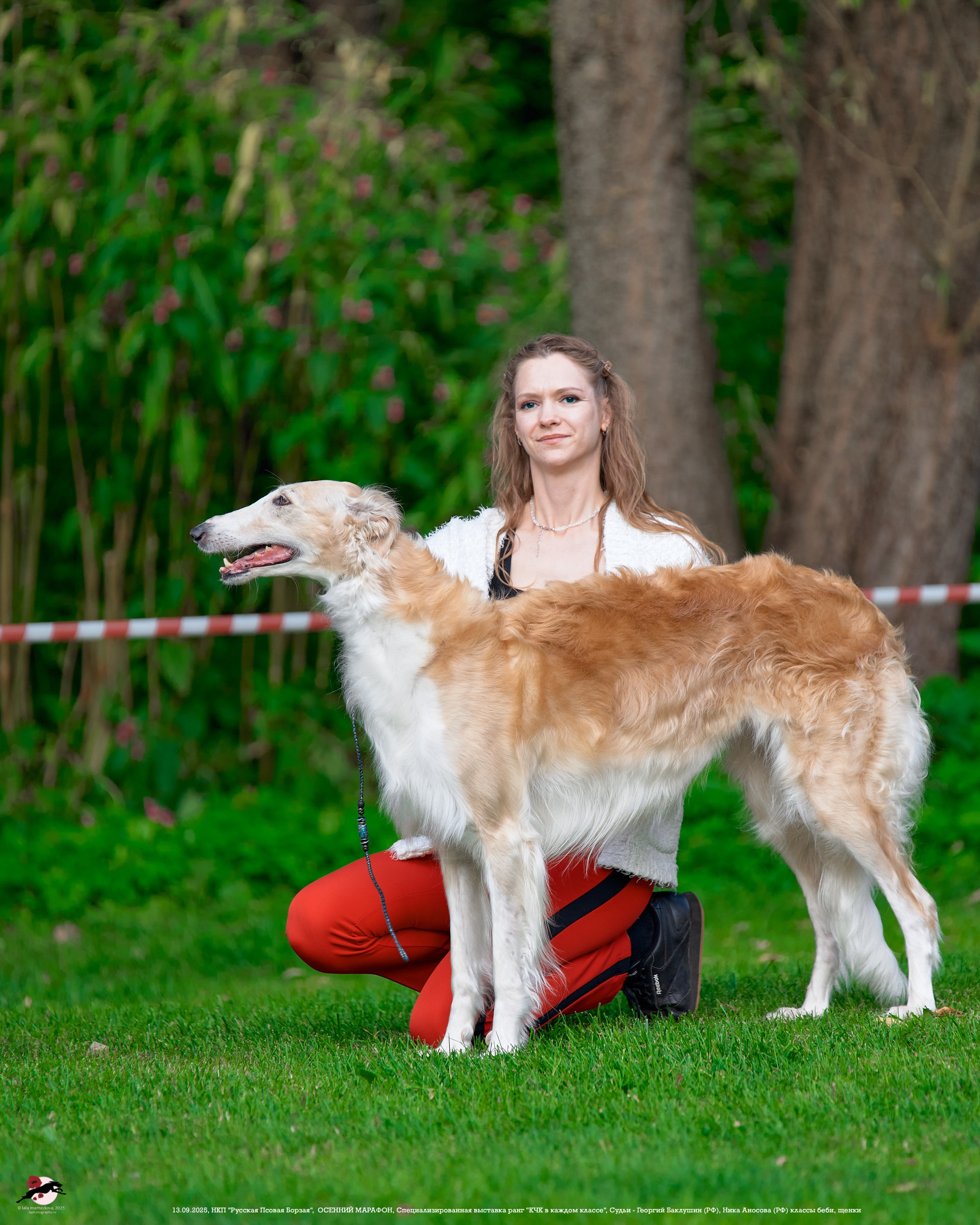 ОСЕННИЙ МАРАФОН | Специализированная выставка породы Русская Псовая Борзая ранг "КЧК в каждом классе"
