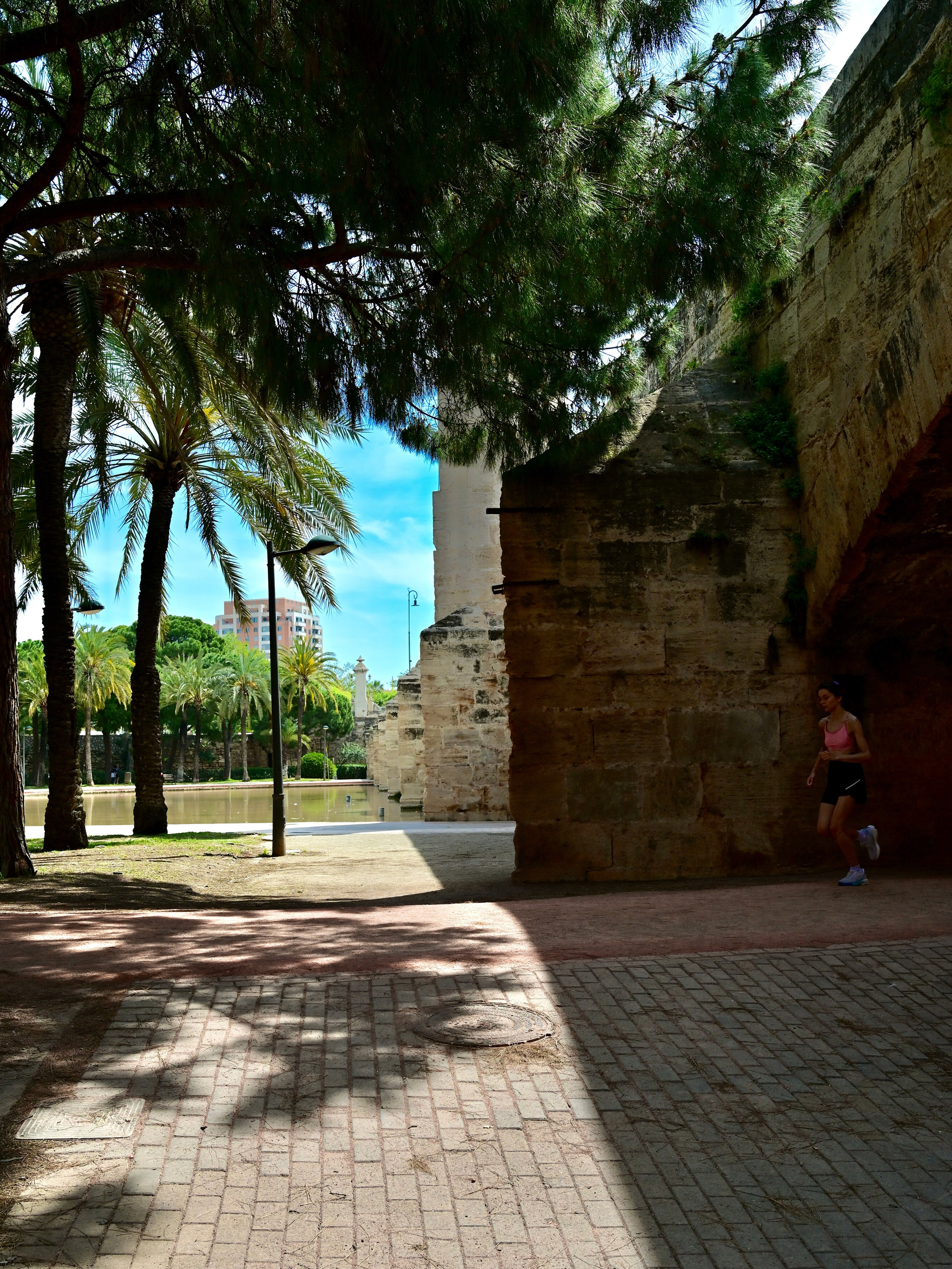 Парки Валенсии. Гид и фотограф в Валенсии Новиков Михаил