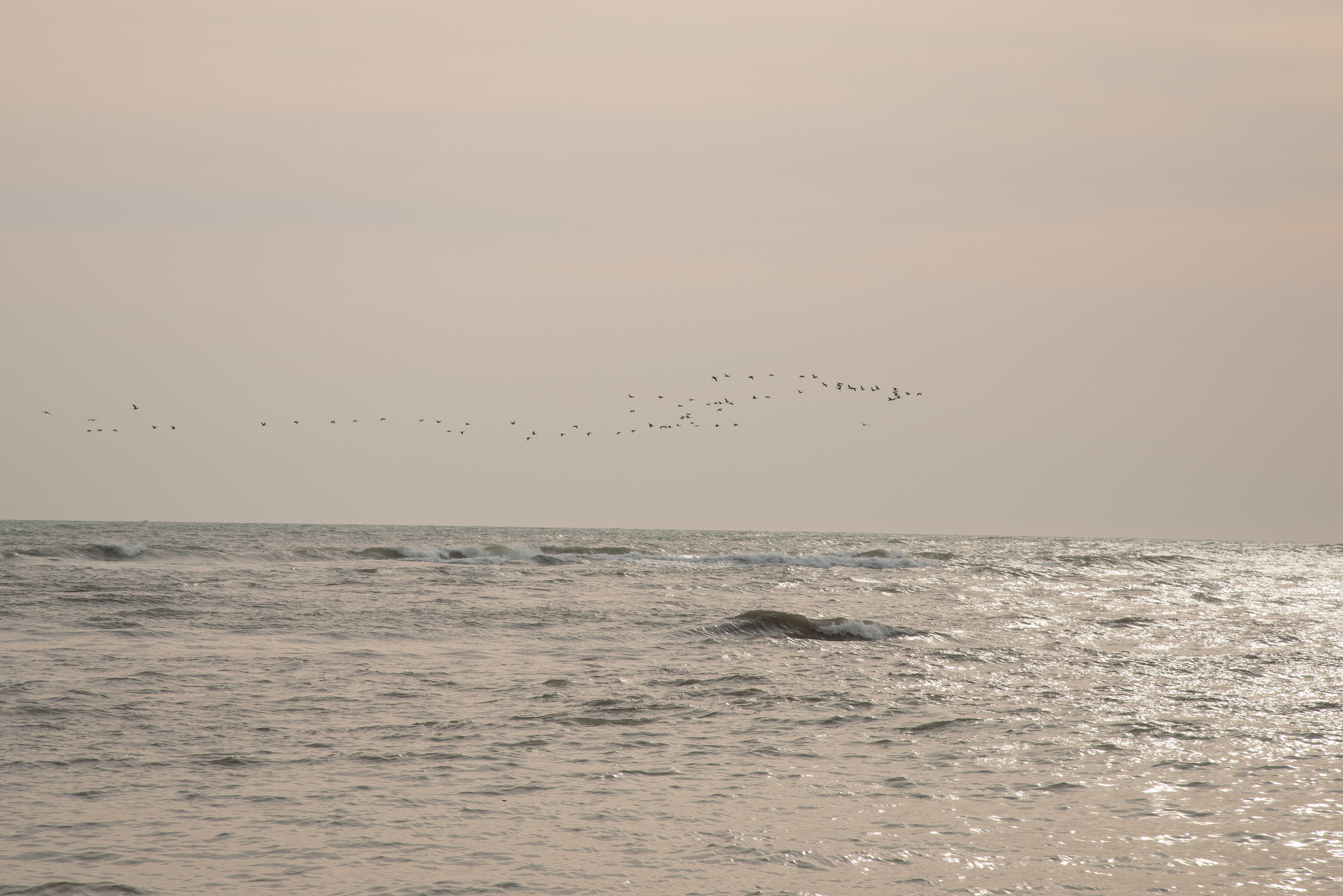 Бухта Инал. Портретный и семейный фотограф в Геленджике Таня Ходова