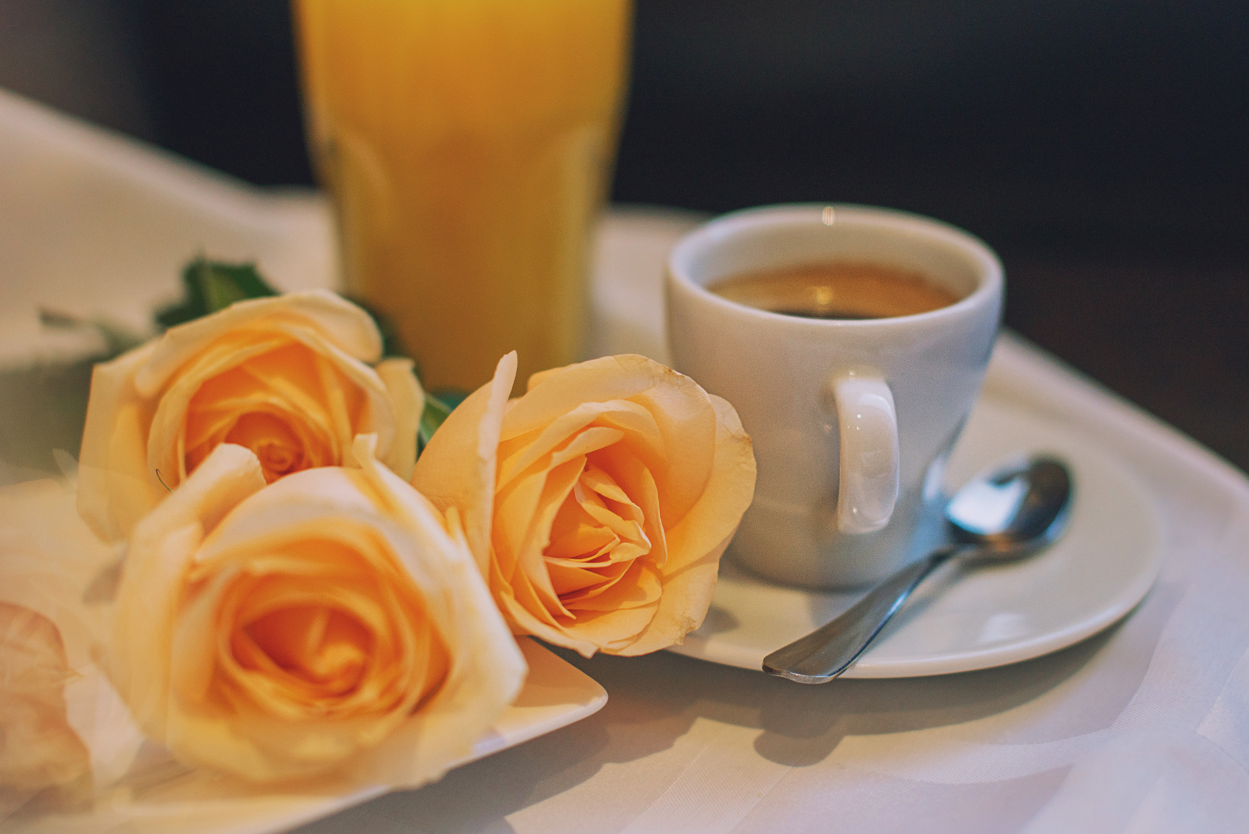 Спокойное утро. Фото Видео Дизайн