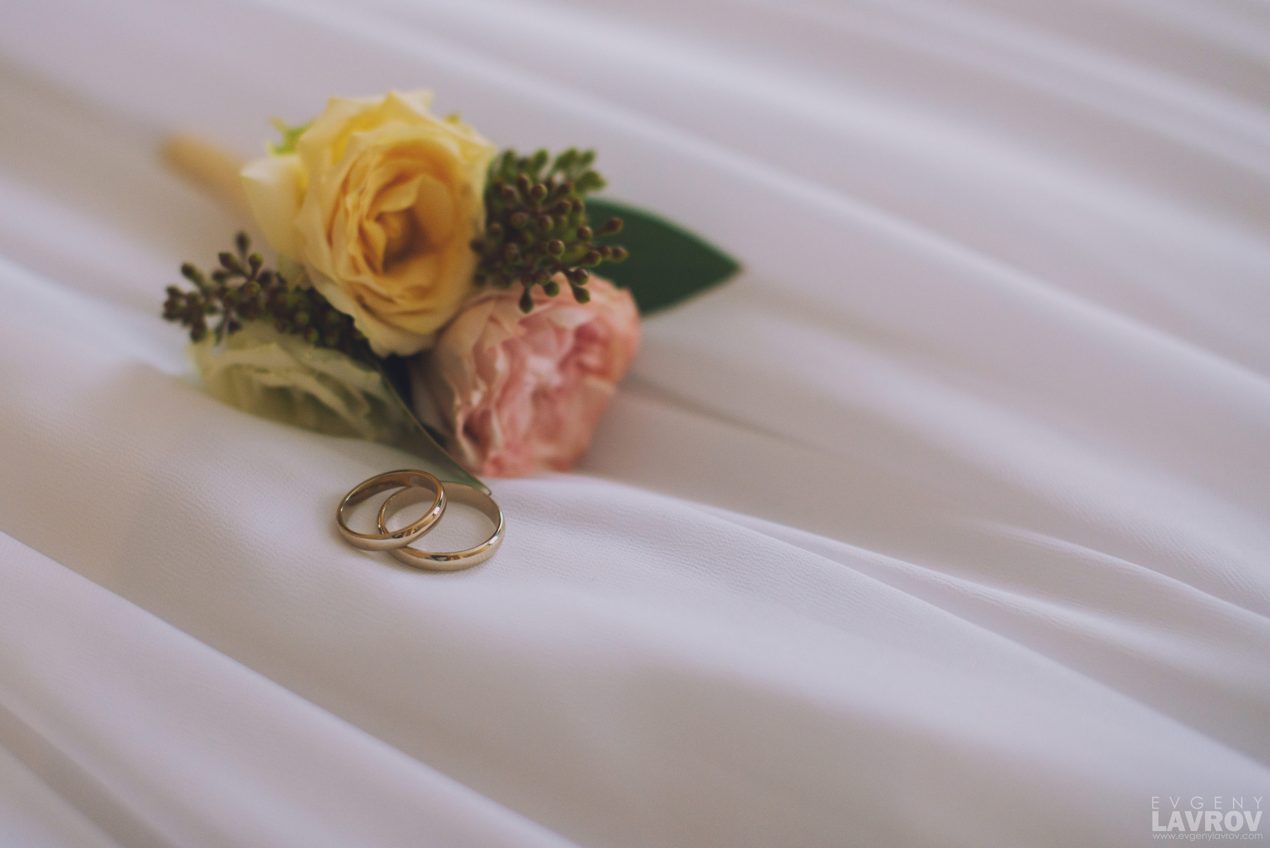 Спокойное утро. Фото Видео Дизайн