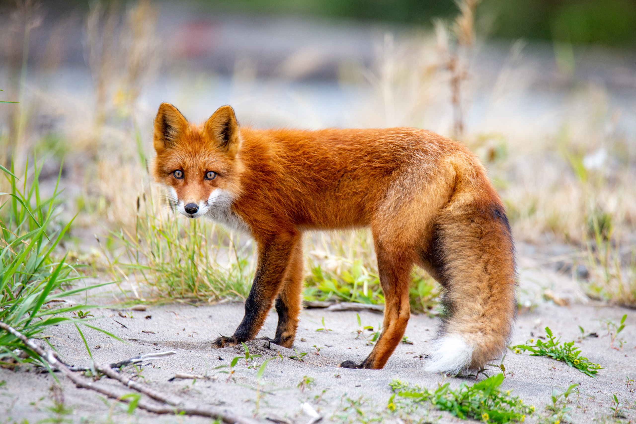 Озеро Толмачева. Время Камчатки: чтобы найти свой путь, нужно скорость умножить на время