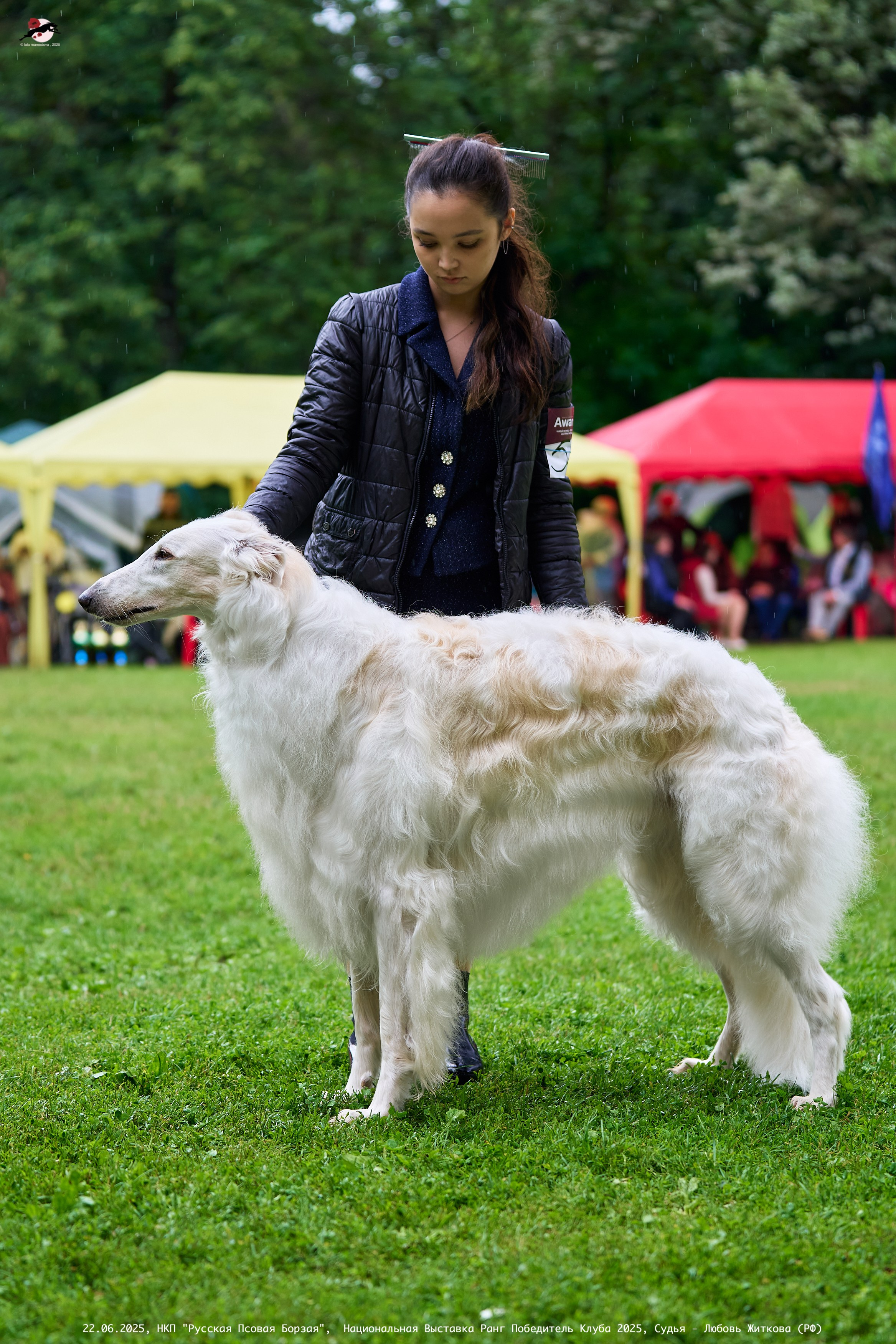22.06.2025 | Национальная Выставка НКП "Русская Псовая Борзая"