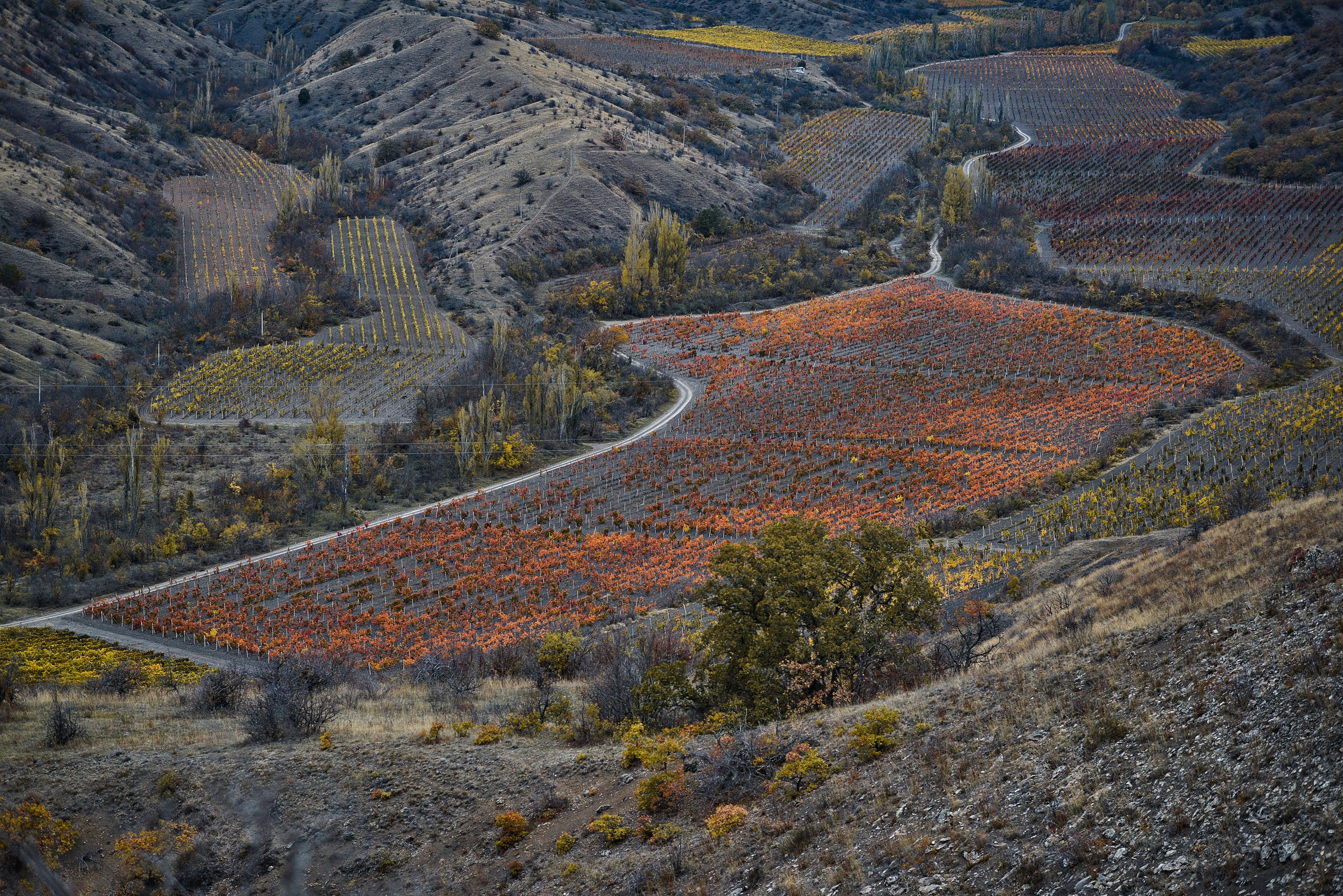 Пейзажи. Яркие фото на Чёрном море