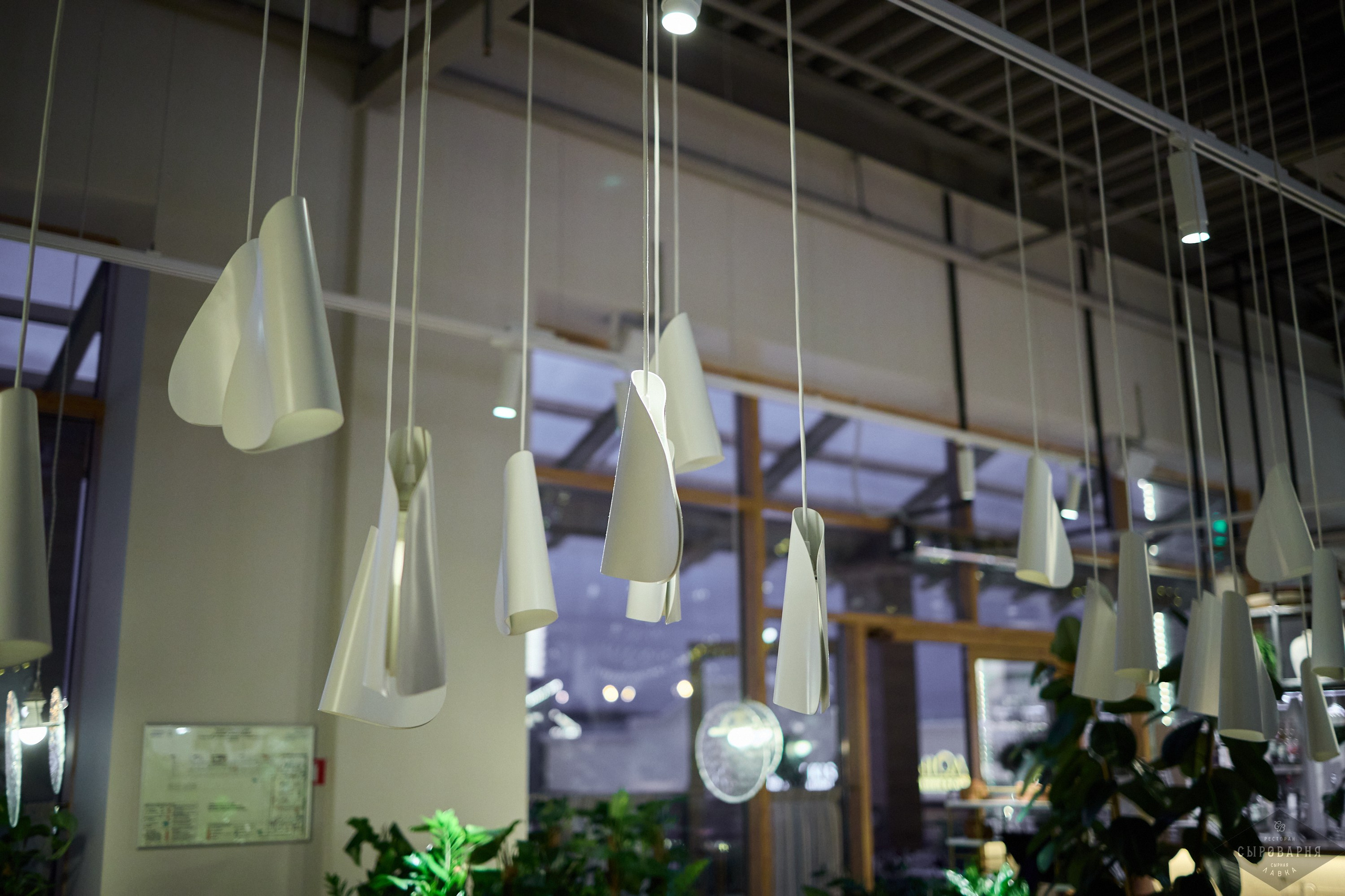 День рождения Алены в Сыроварне. Фотографъ Сергѣевъ. Поймать мгновеніе